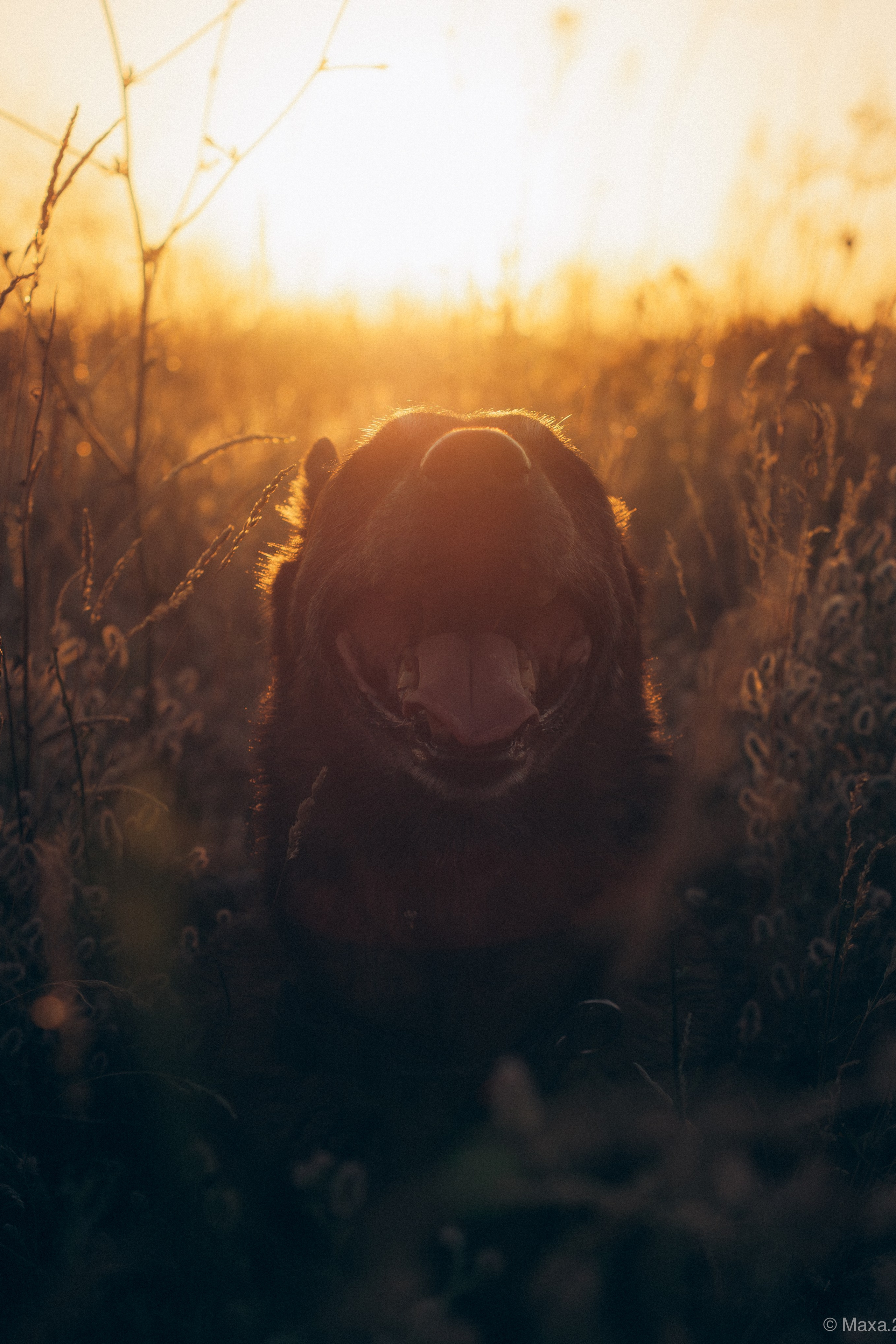 Фото прогулки