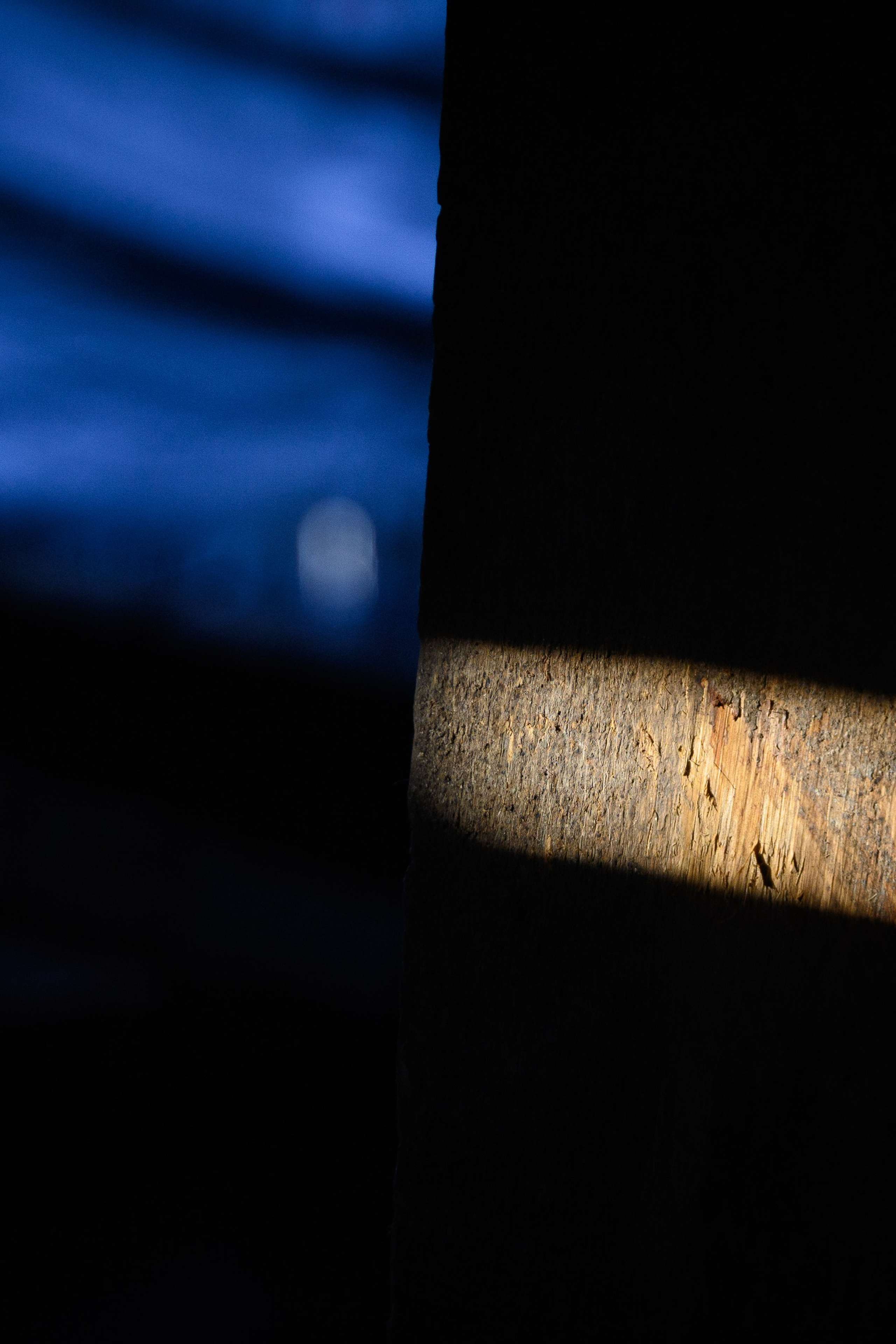 Увидеть свет