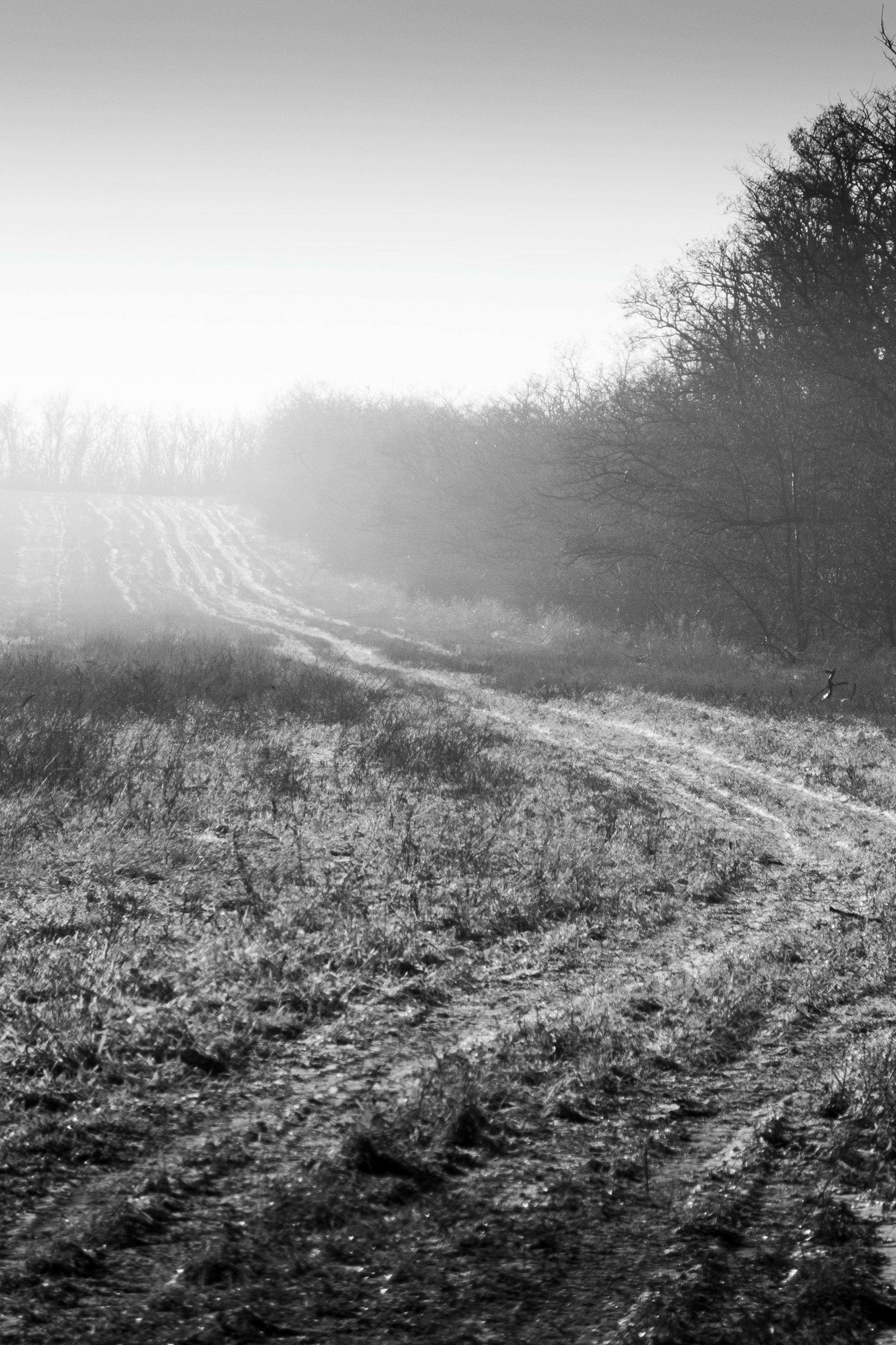 Деревня / Юг