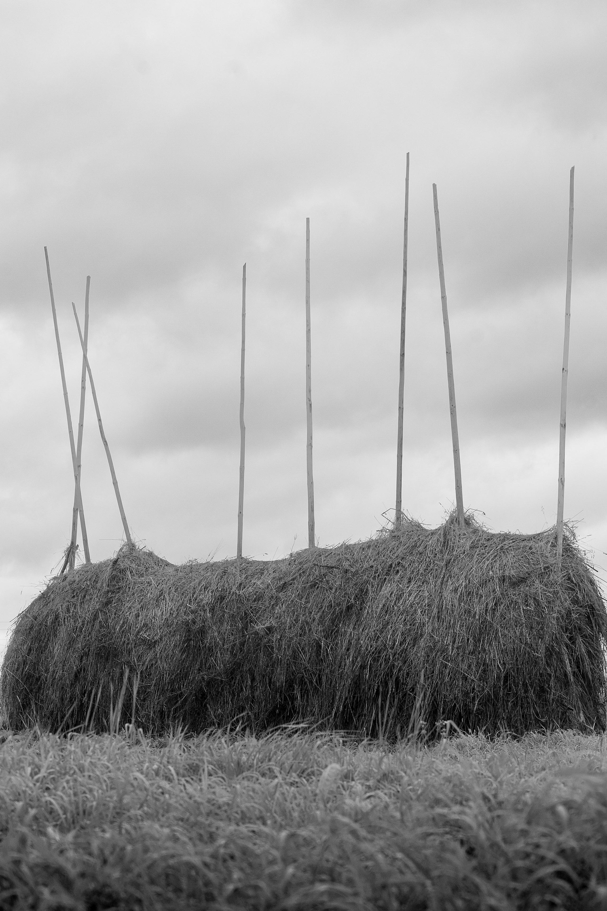 Деревня / Север I