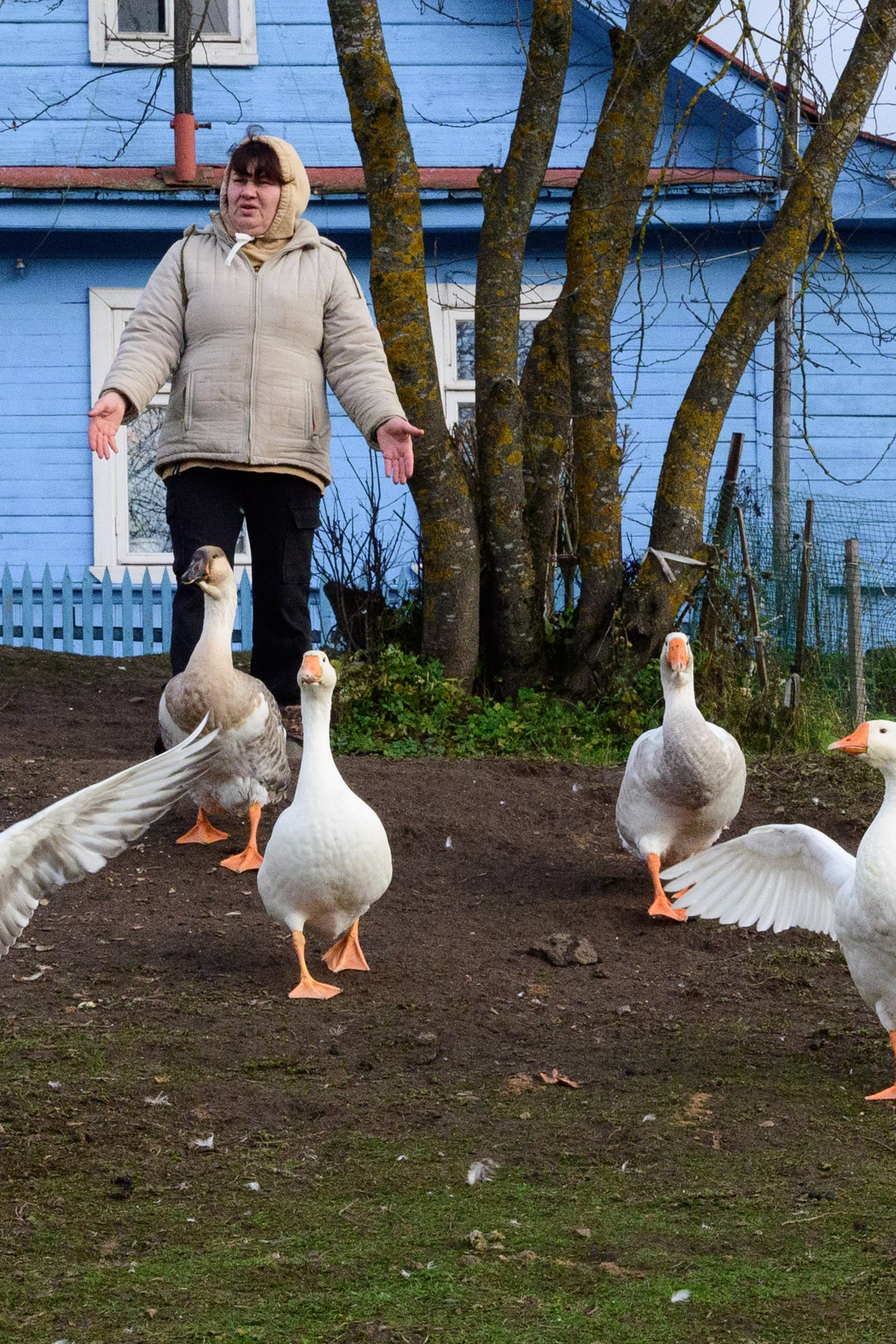 Торжок. Портрет горожанина
