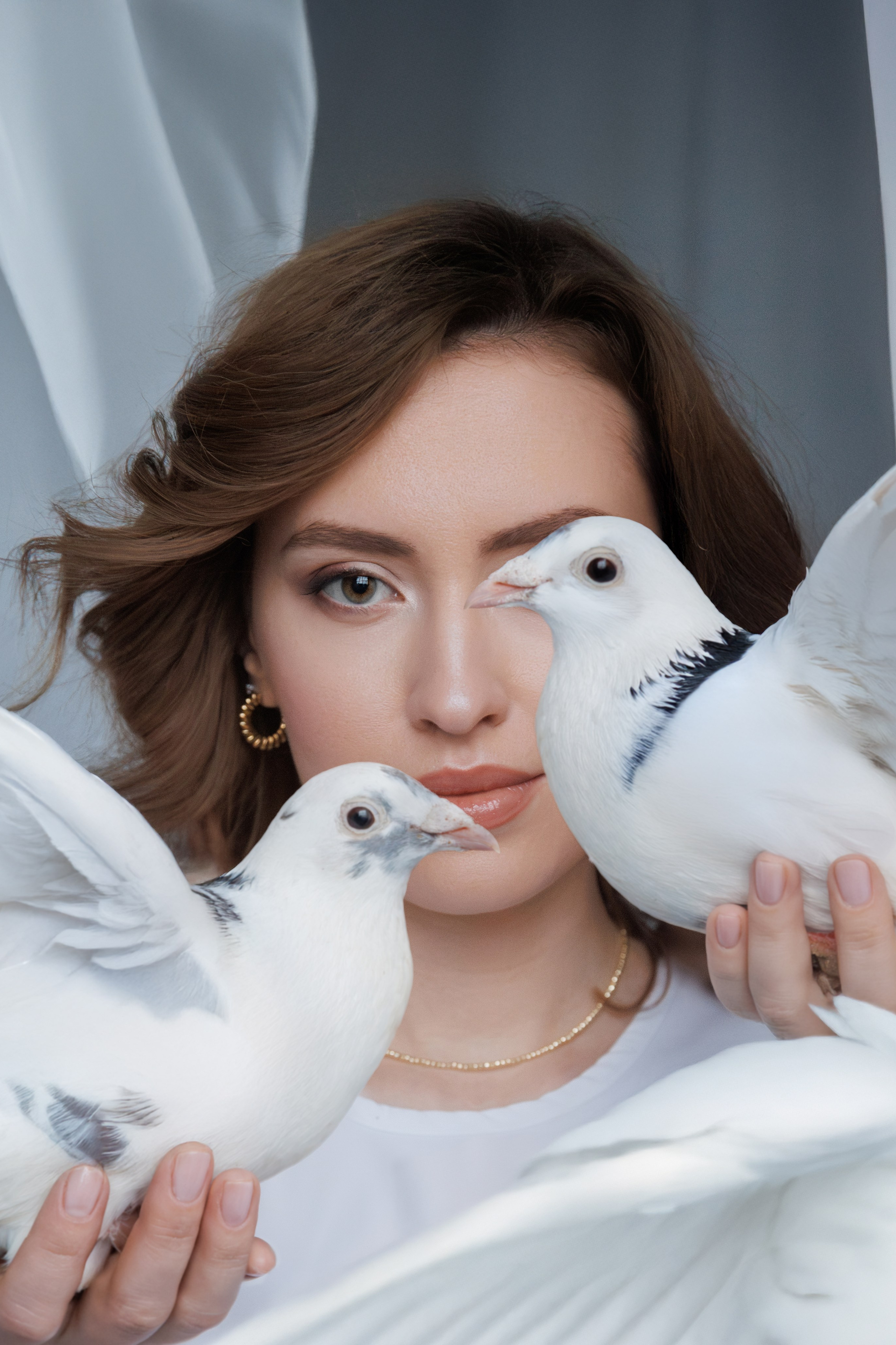 Голуби