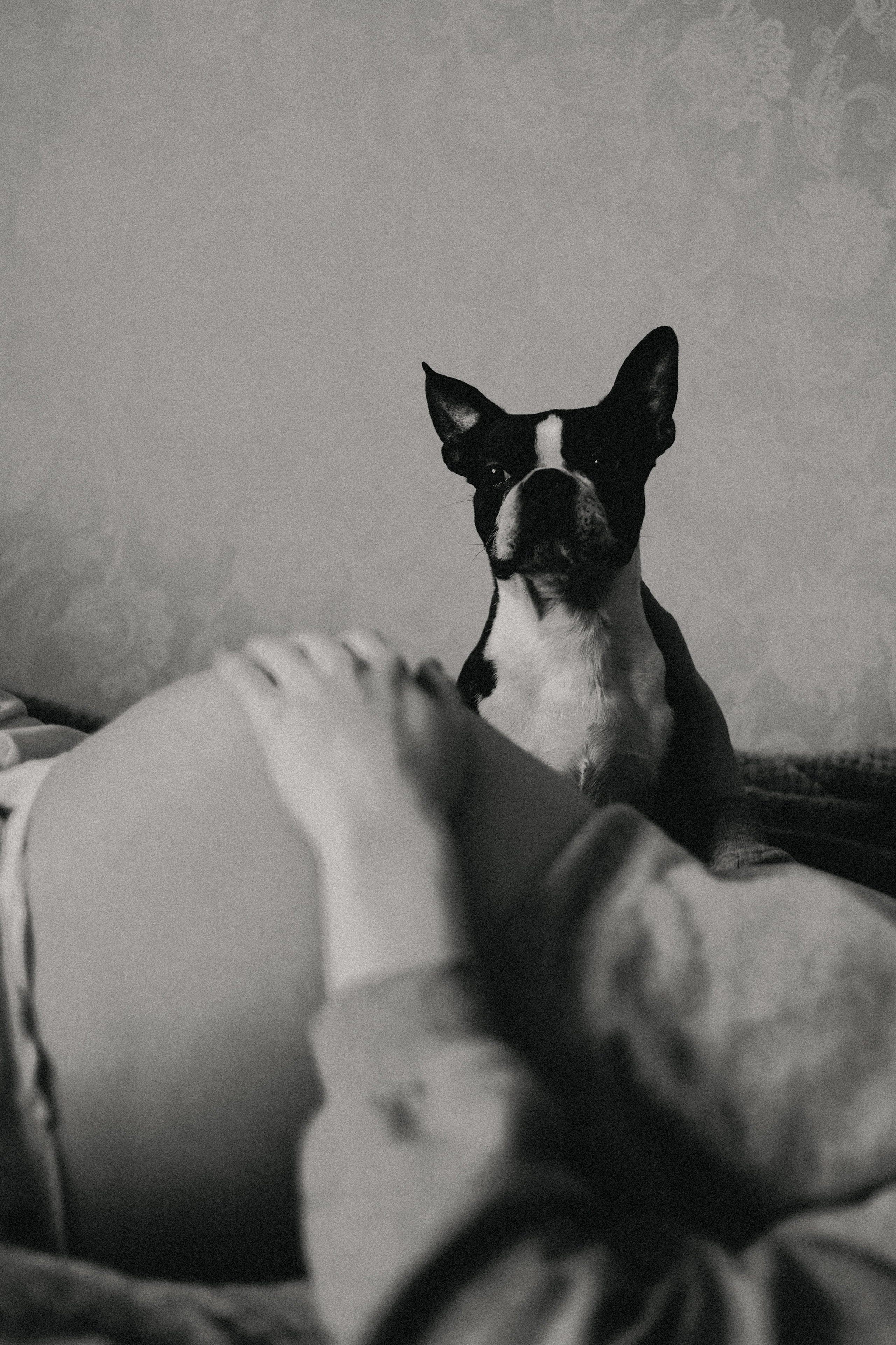 Анонсы. Фотограф Блинова Арина | Санк-Петербург