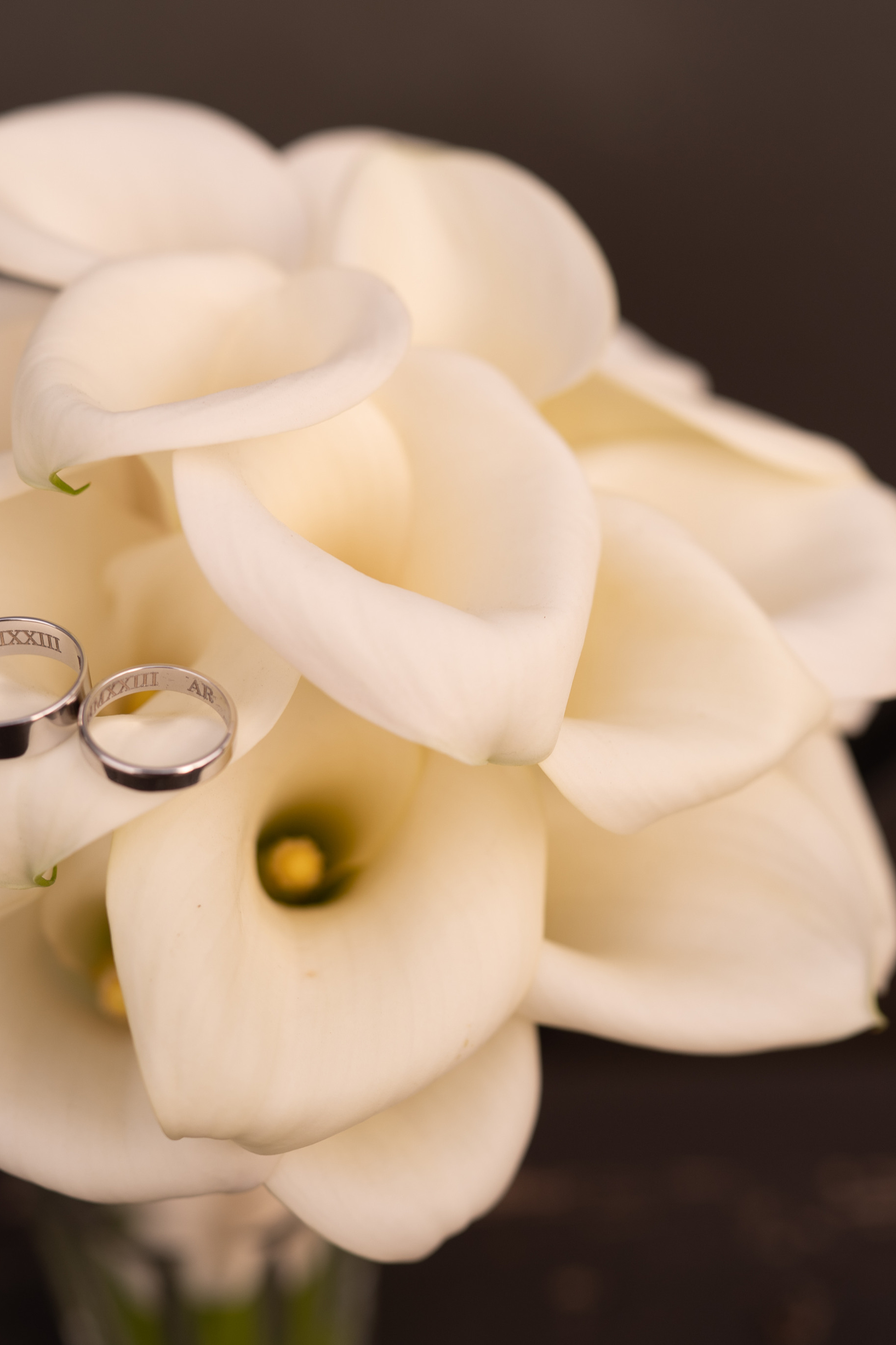 Отзывы. Женский фотограф в Санкт-Петербурге Татьяна Саблина