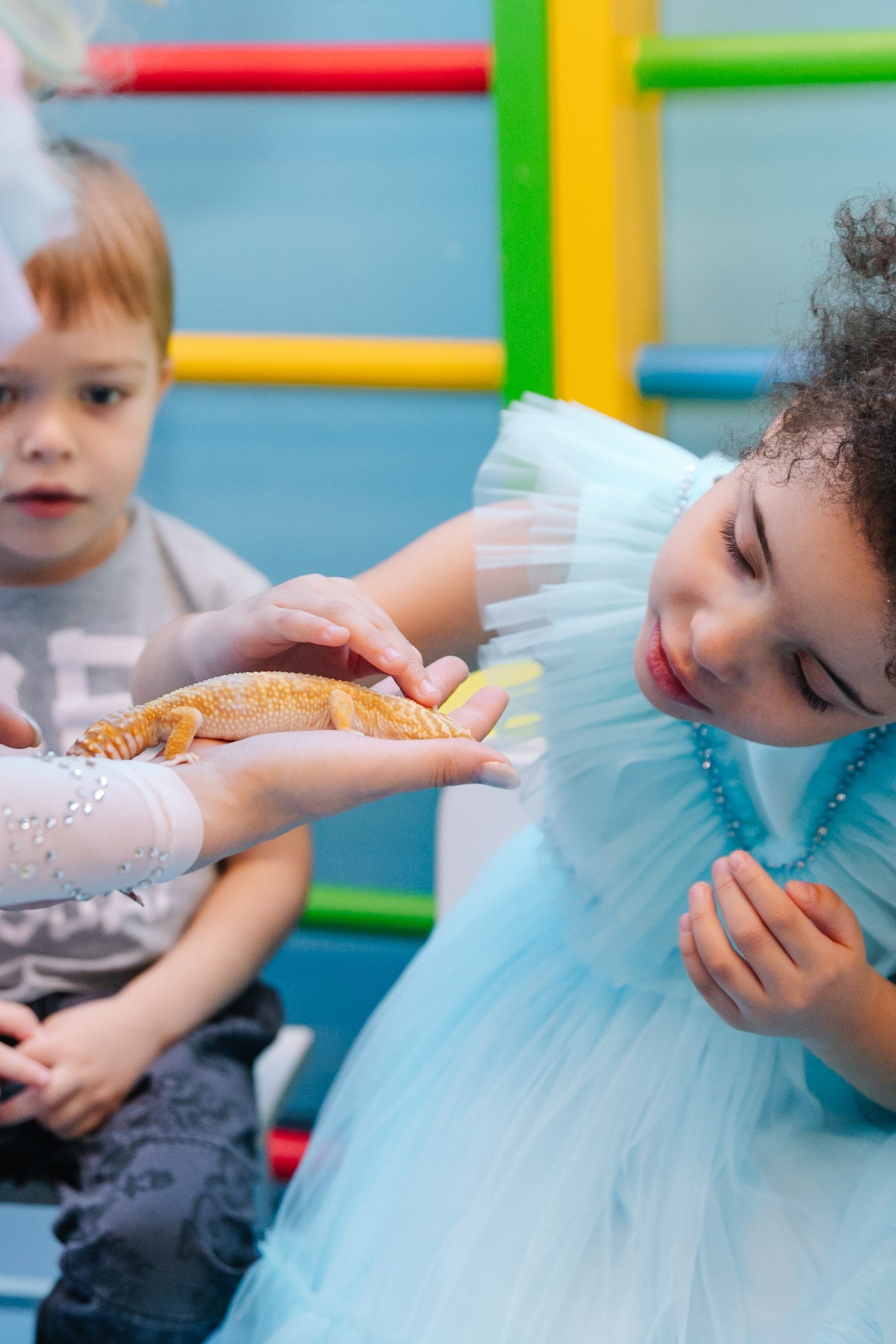 Отзывы. Свадебный и семейный фотограф в Красноярске Абраменко Настя