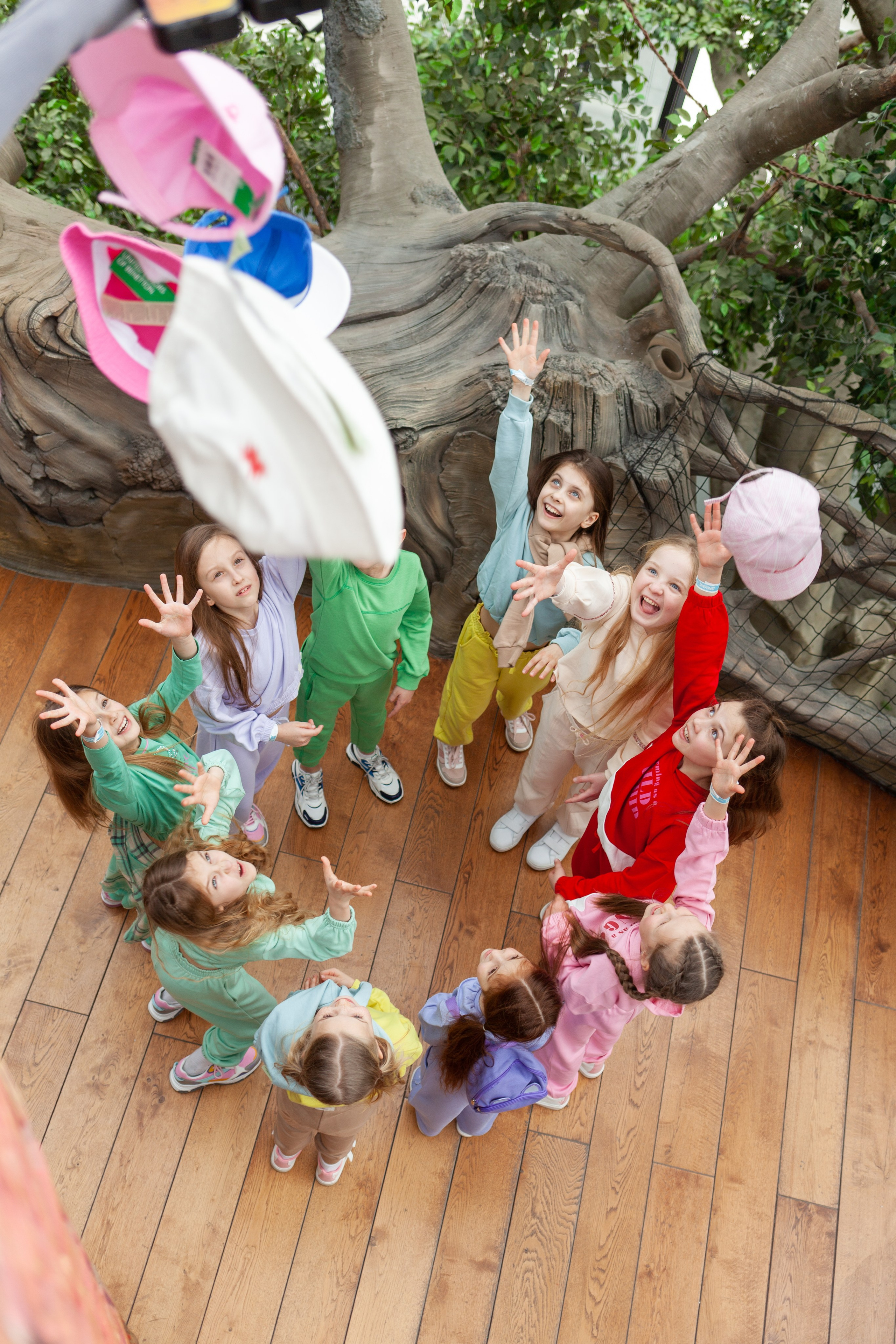 Benetton & парк развлечений Dreamwood