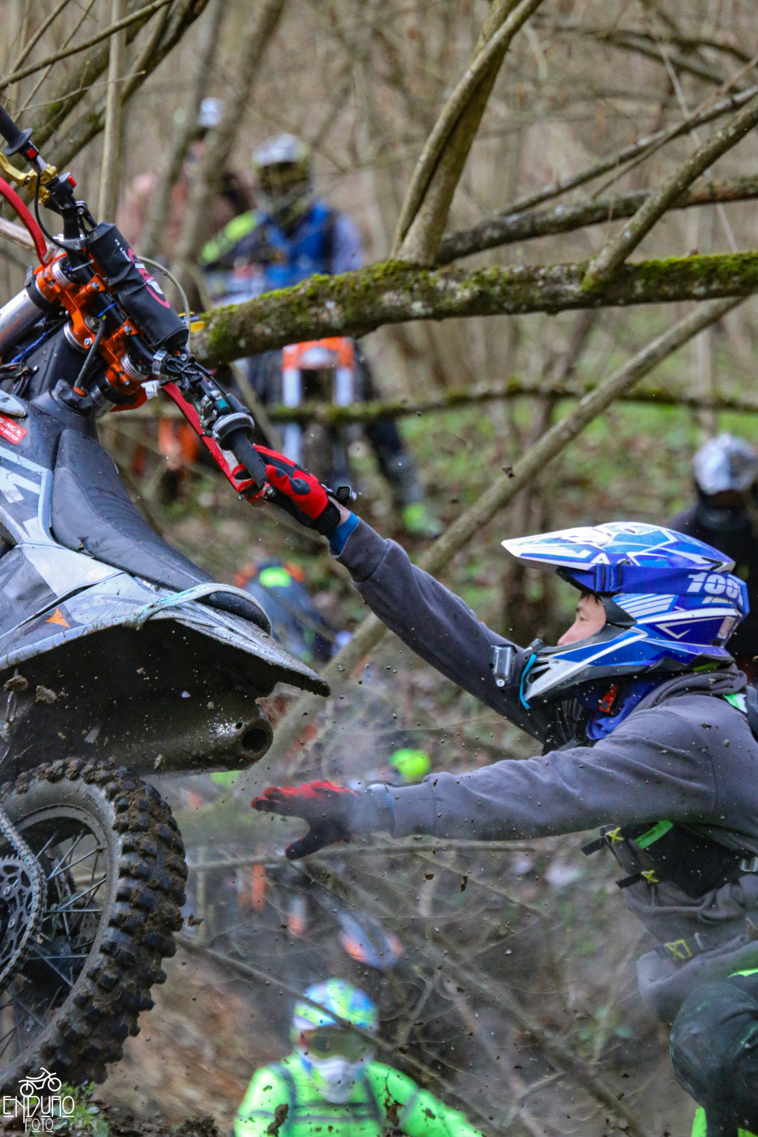 Бобр Прохват 2025