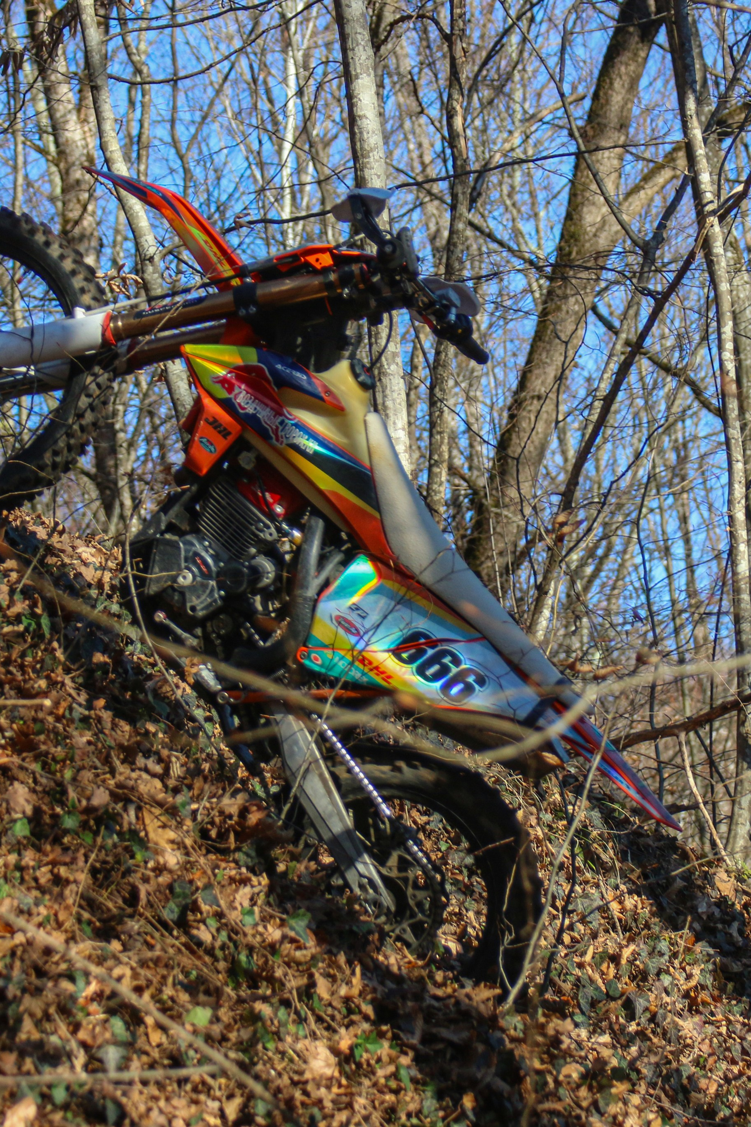 Прохват Каменномостский 2025