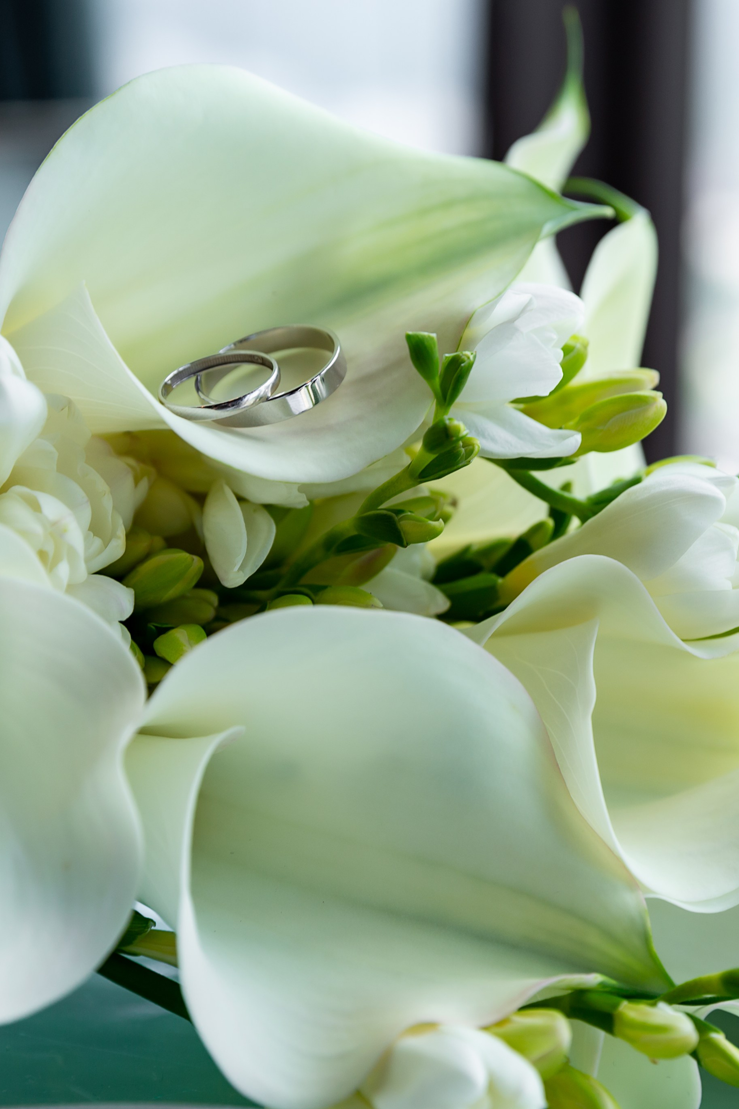 Ксения и&nbsp;Антон 18&nbsp;июля