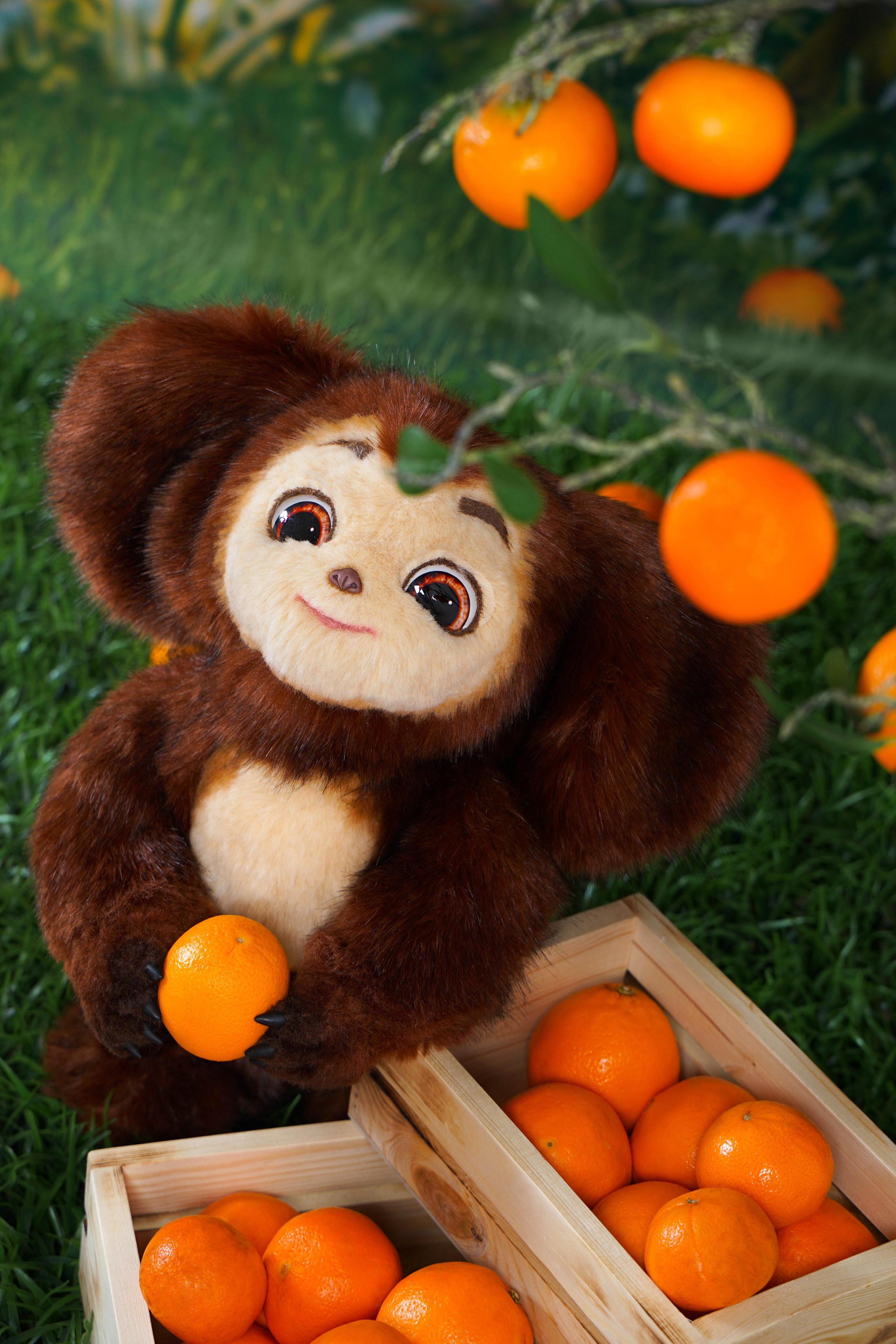 Анонсы съемок. Студия детской фотографии