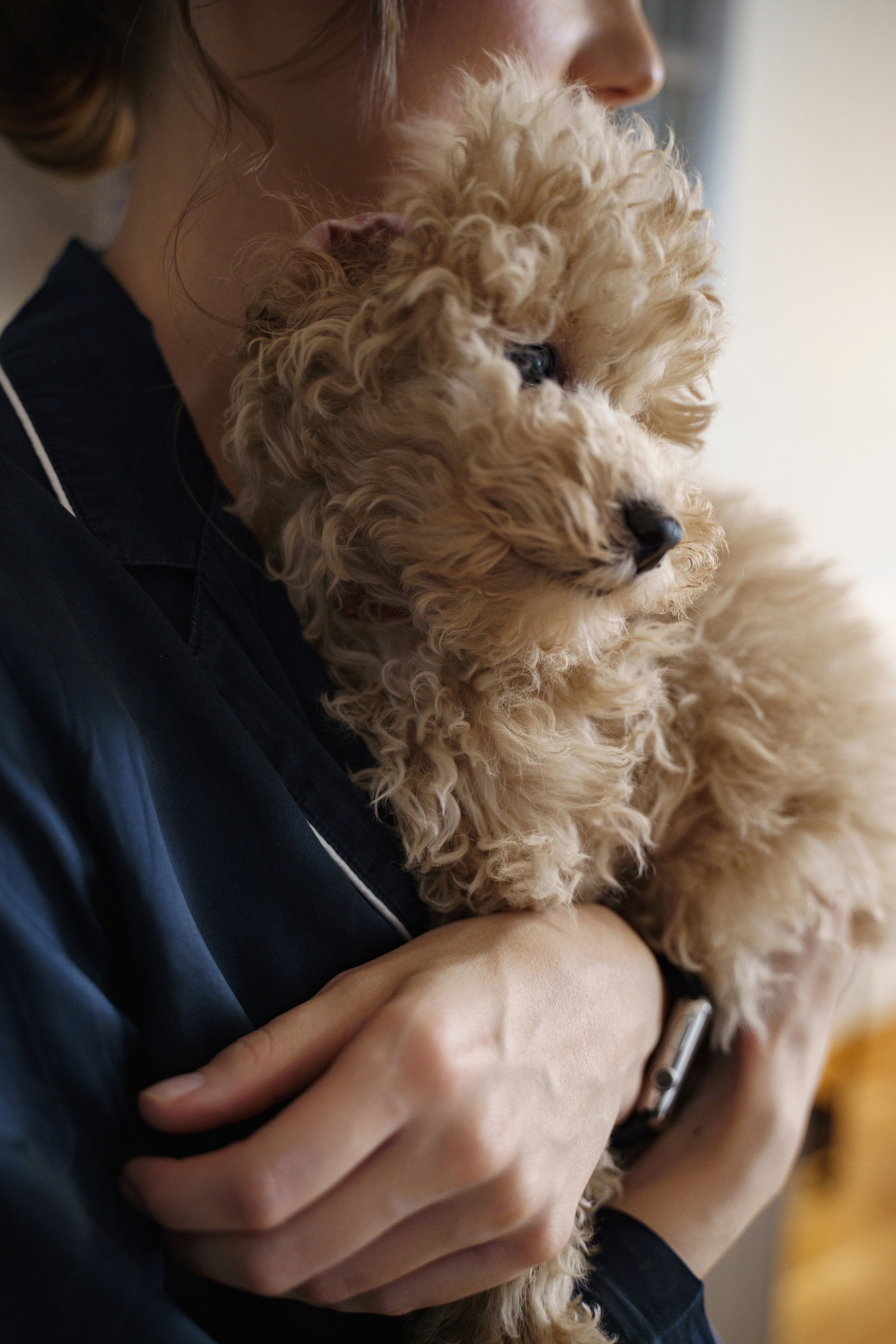 Кристина и Дима. Свадебный и семейный фотограф в Санкт-Петербурге Лина Рогозина