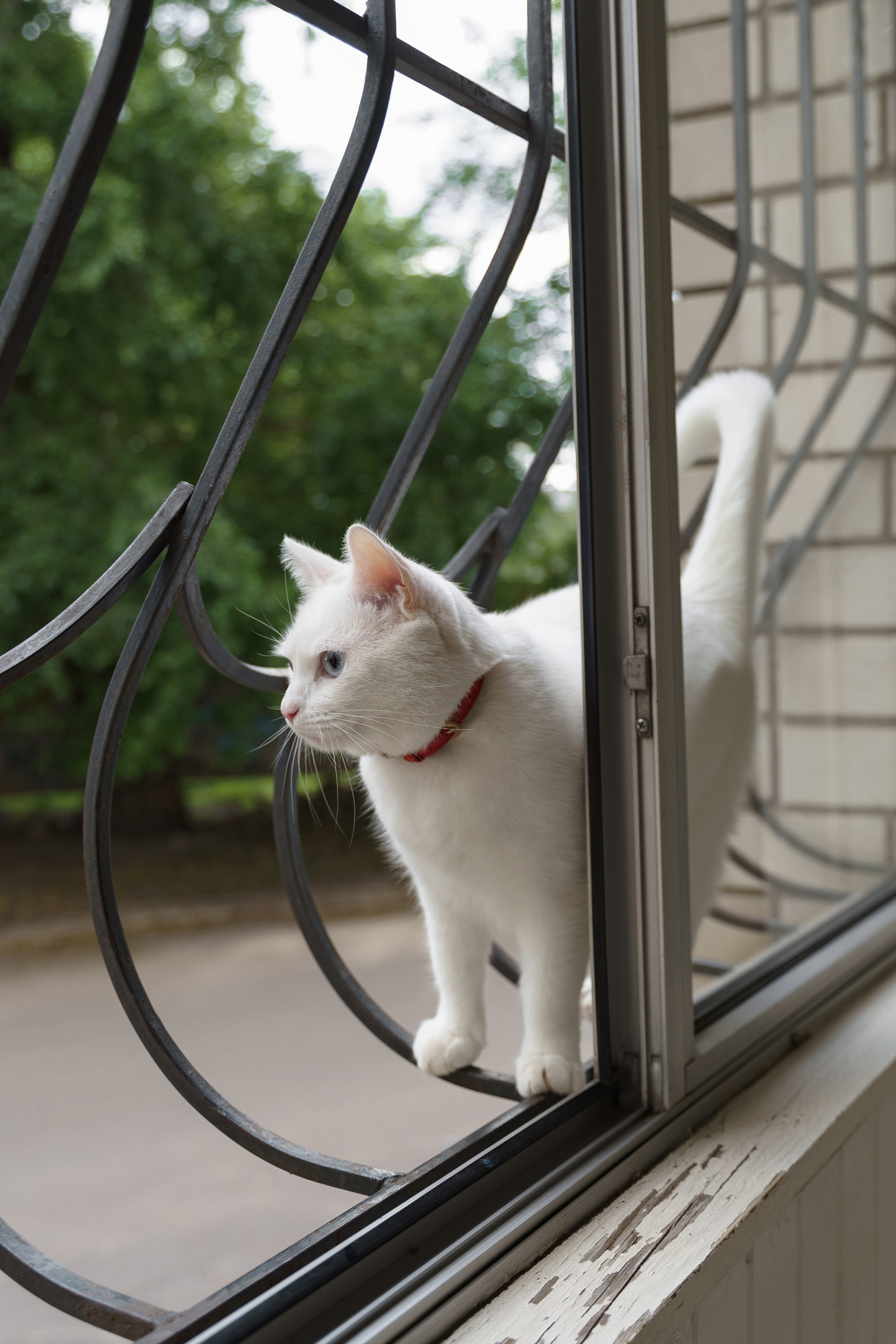 Анна, Владислав и Мирон. Свадебный и семейный фотограф в Санкт-Петербурге Лина Рогозина