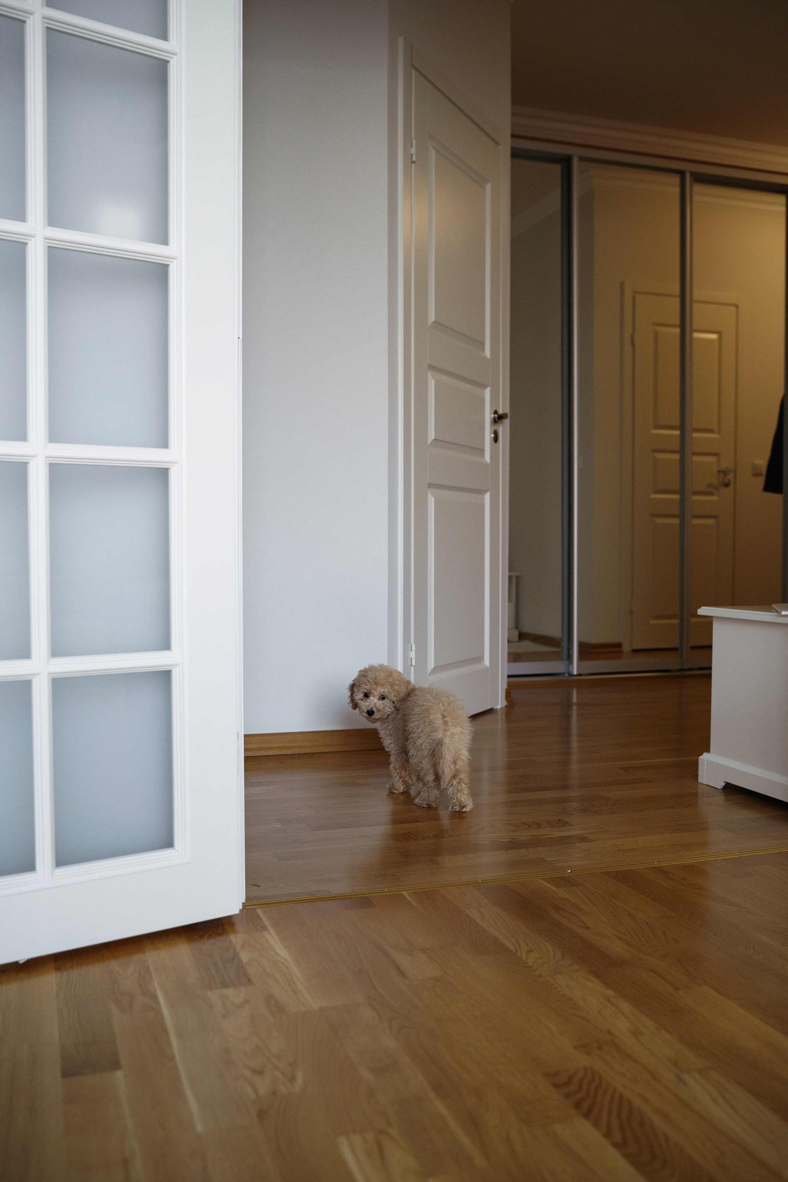 Кристина и Дима. Свадебный и семейный фотограф в Санкт-Петербурге Лина Рогозина