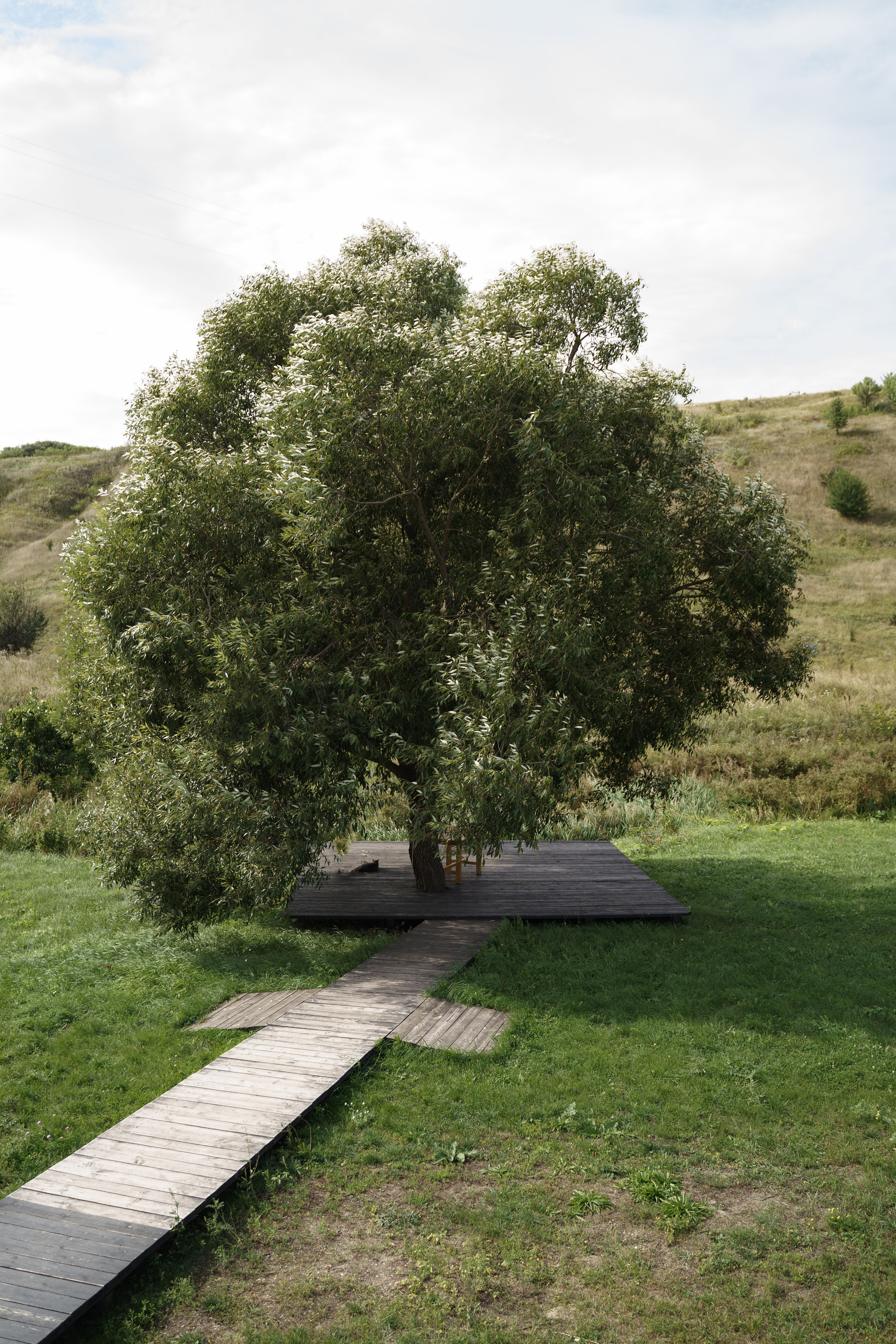 Анна и Артем. Свадебный и семейный фотограф в Санкт-Петербурге Лина Рогозина
