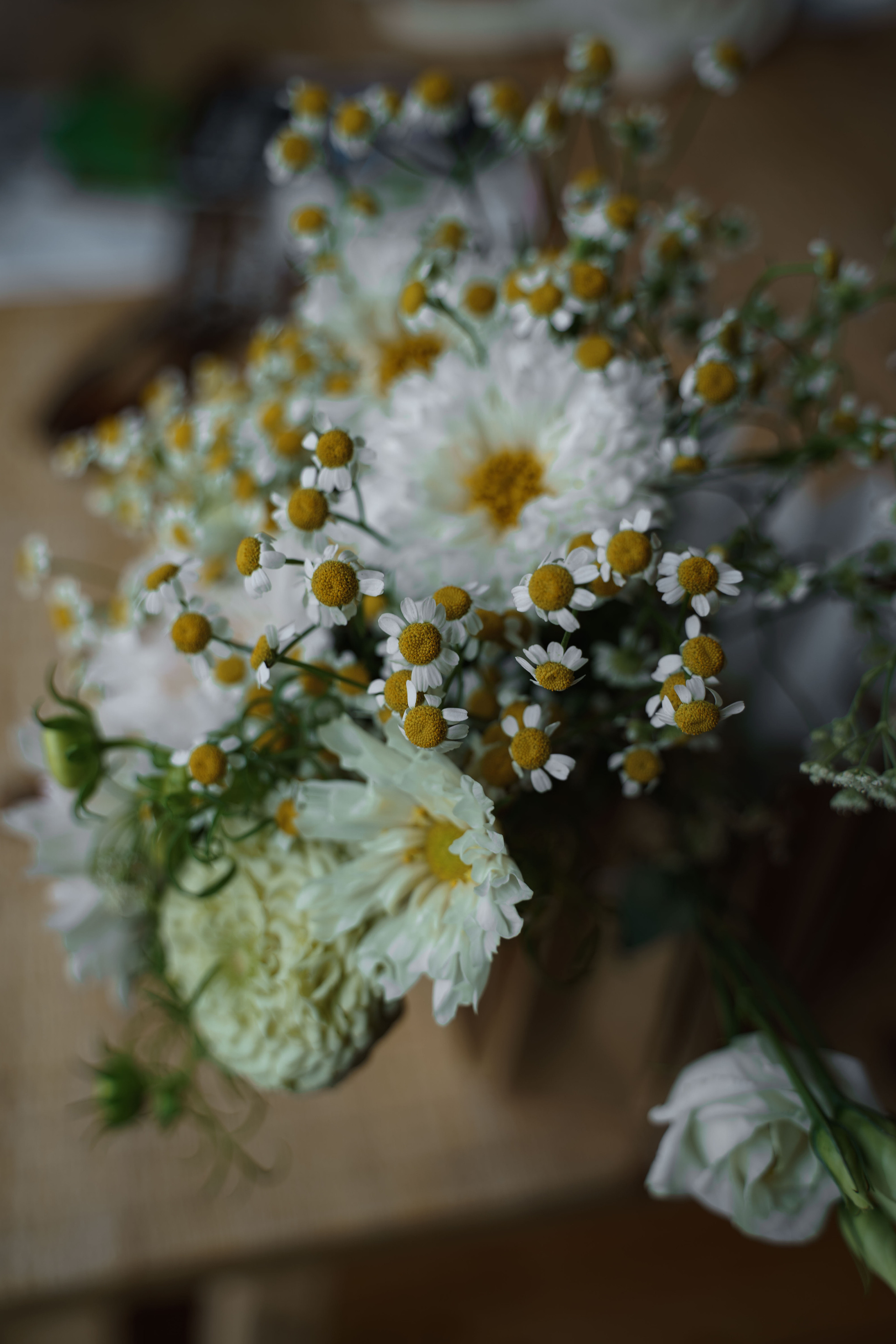 Анна и Артем. Свадебный и семейный фотограф в Санкт-Петербурге Лина Рогозина