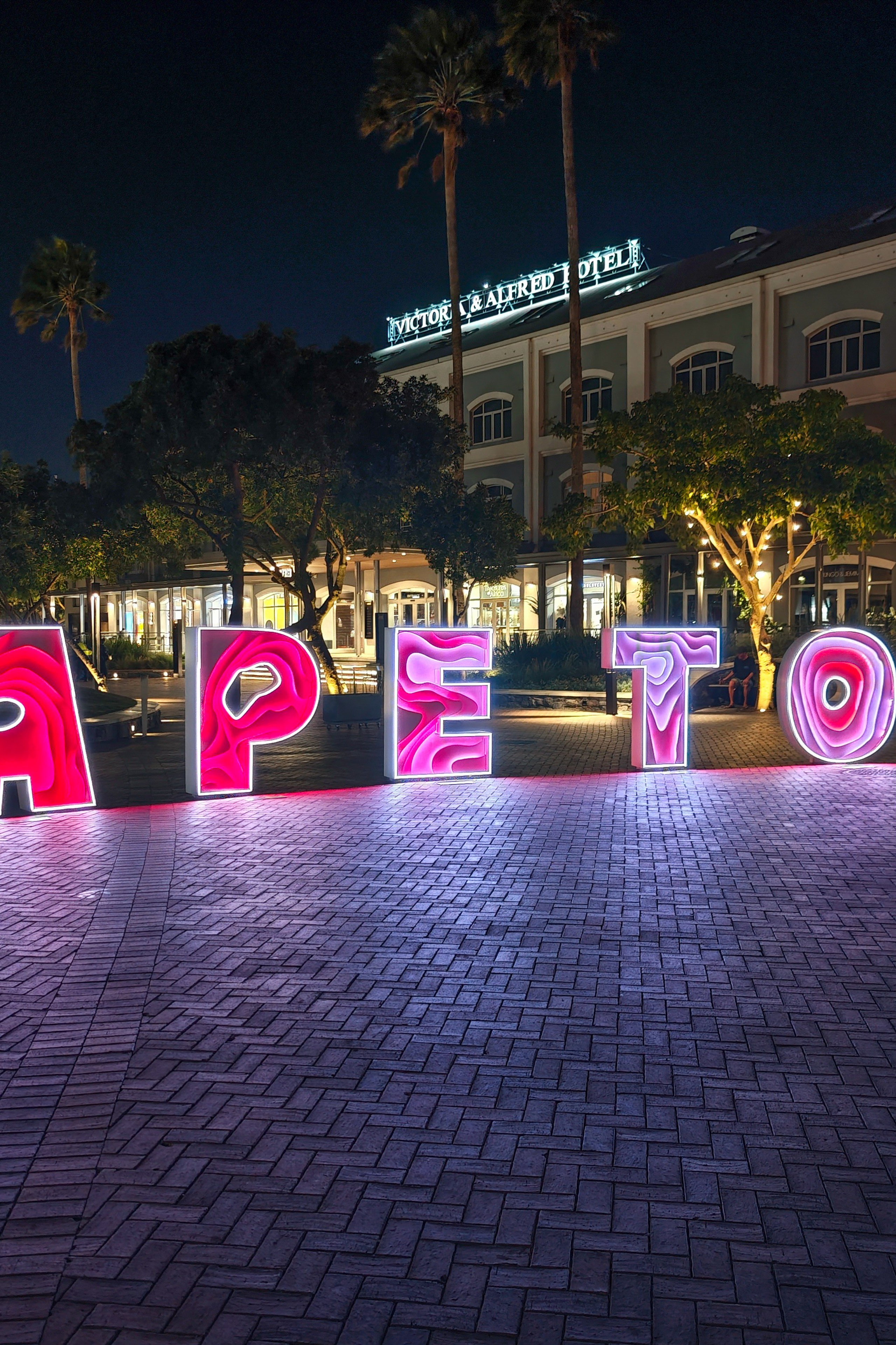 Морские котики и закат