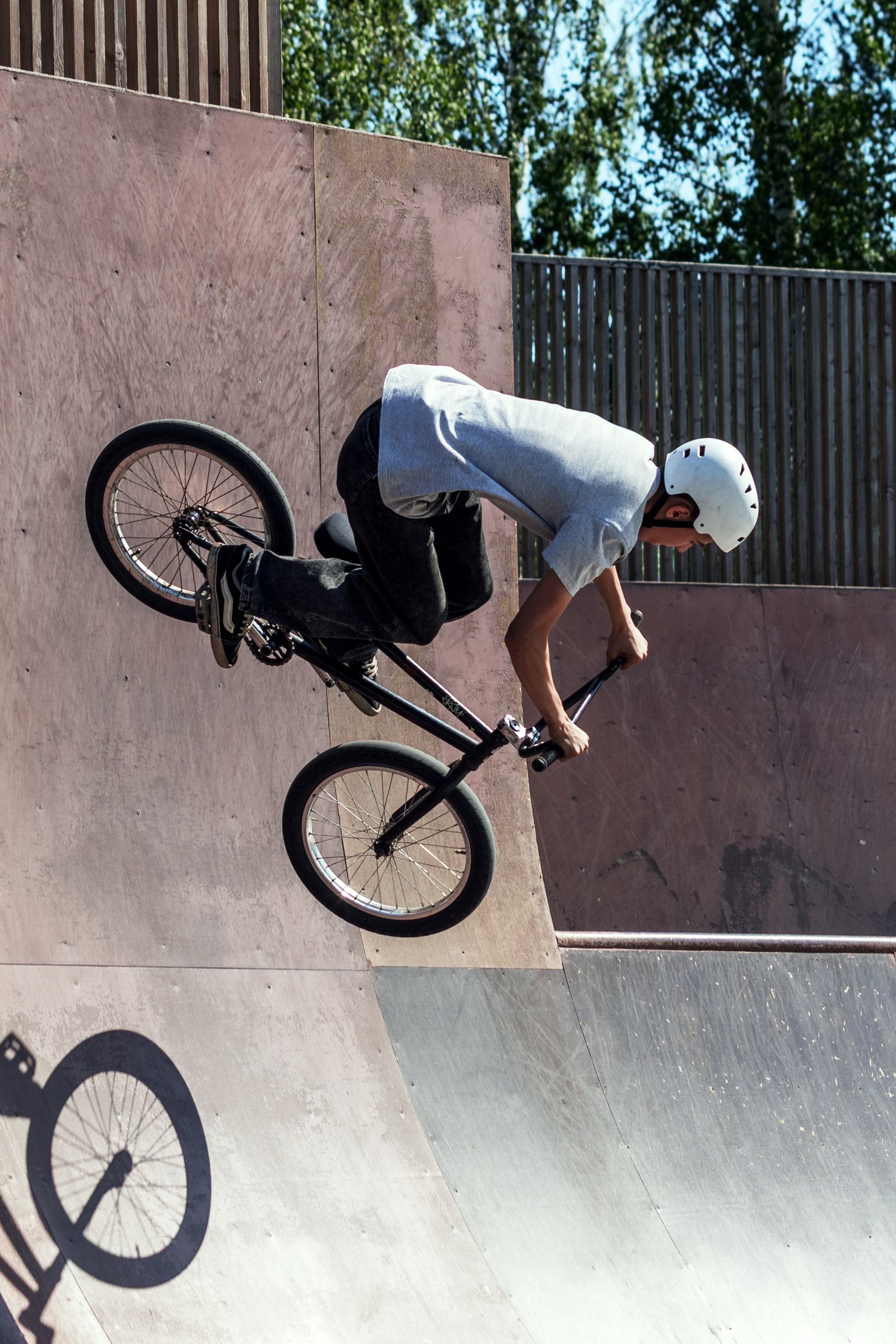 Открытие парка