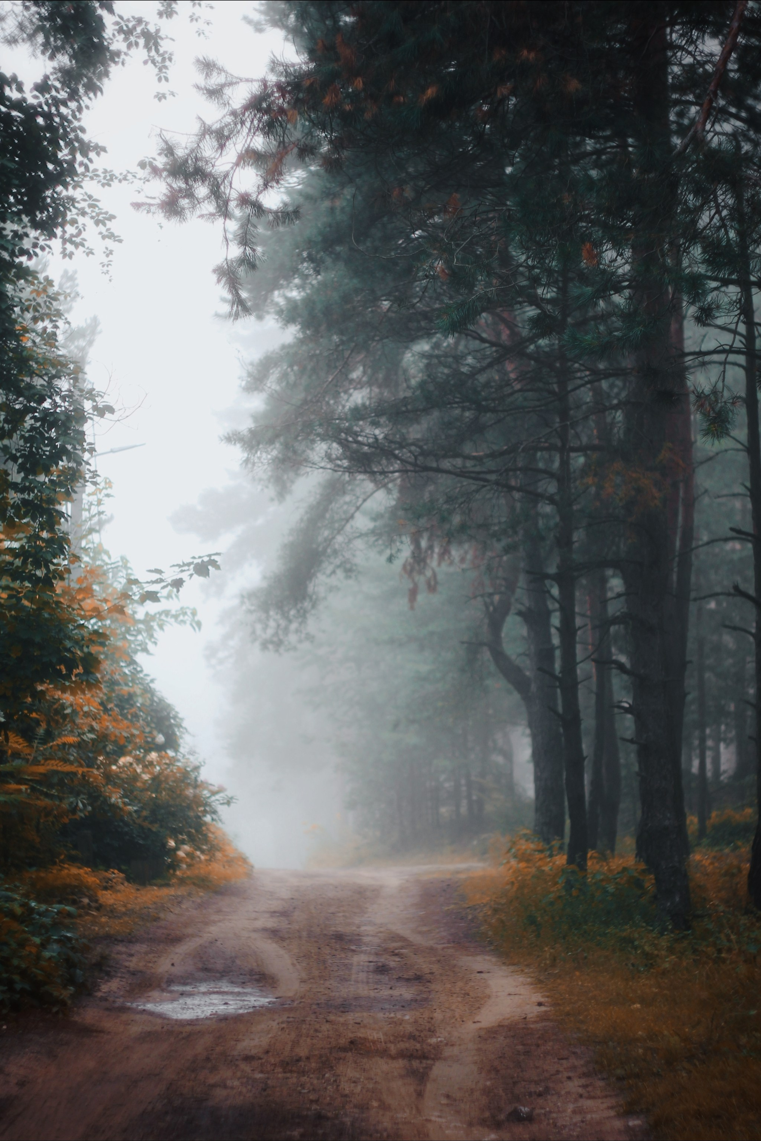 Блог. С любовью, фотохудожник