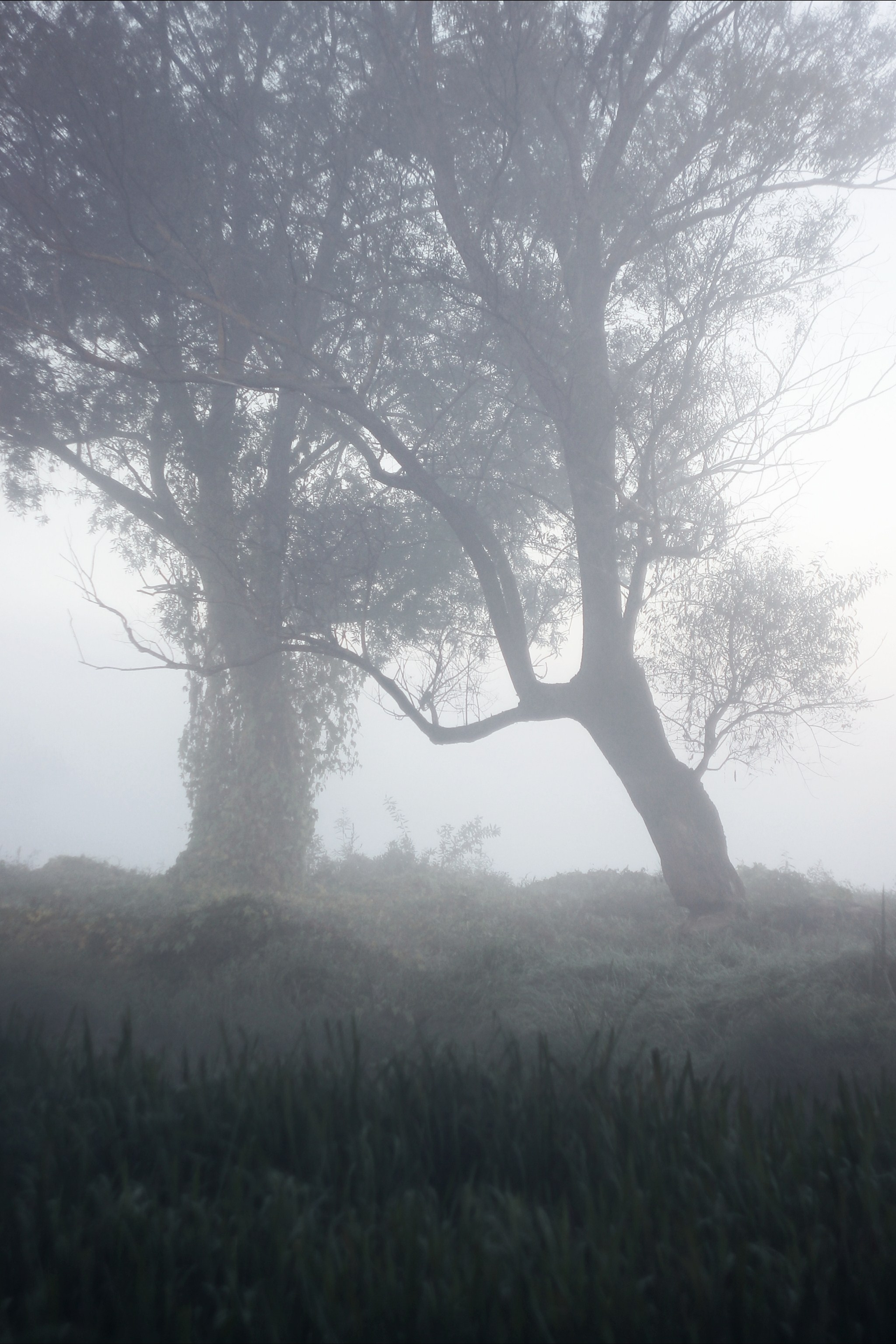 Блог. С любовью, фотохудожник