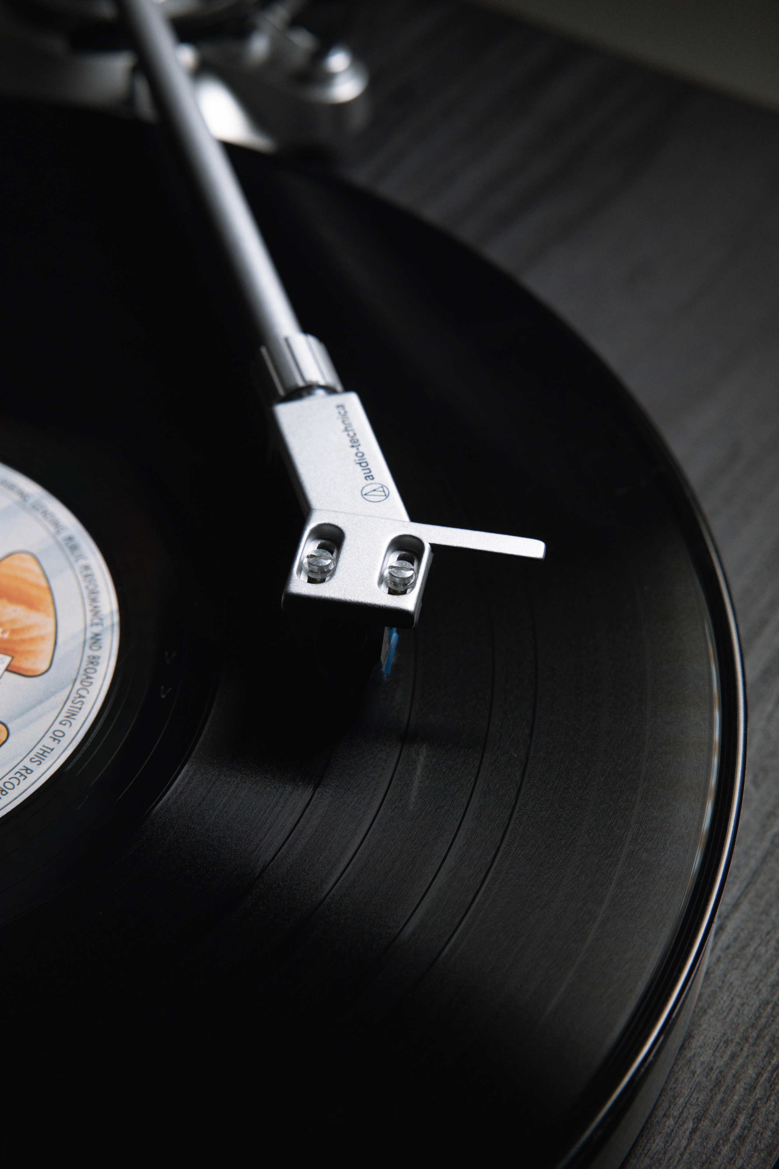 Коммерческая. Коммерческий фотограф Екатерина Харыбина