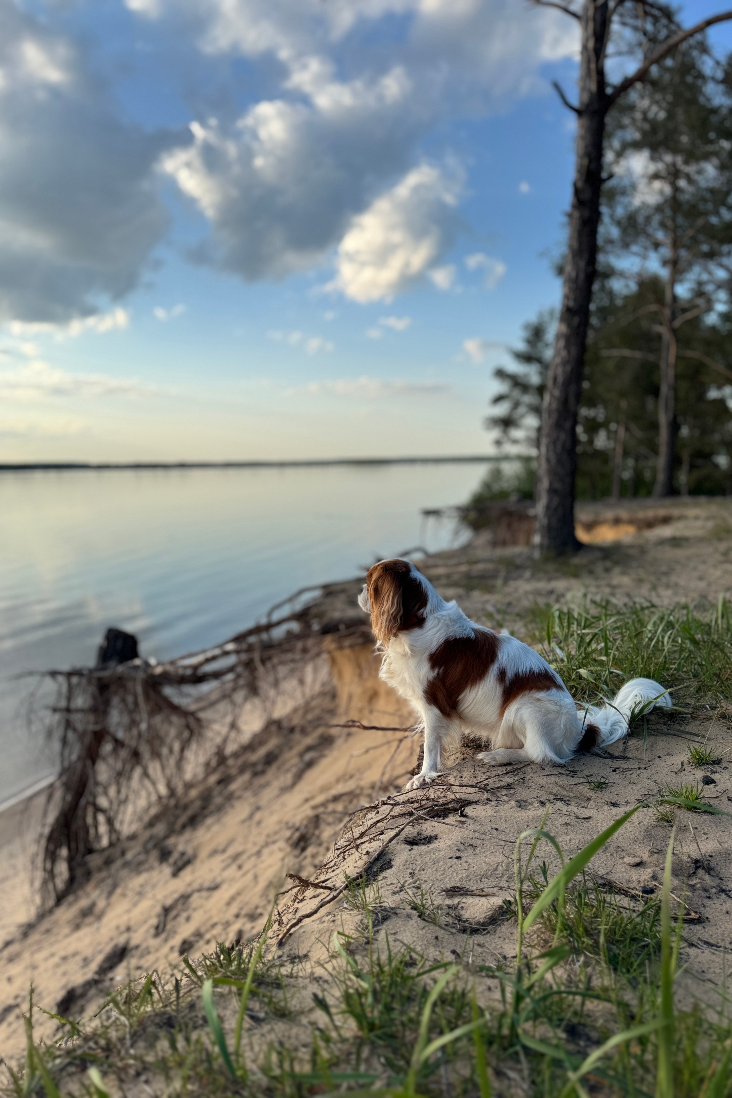 Территория