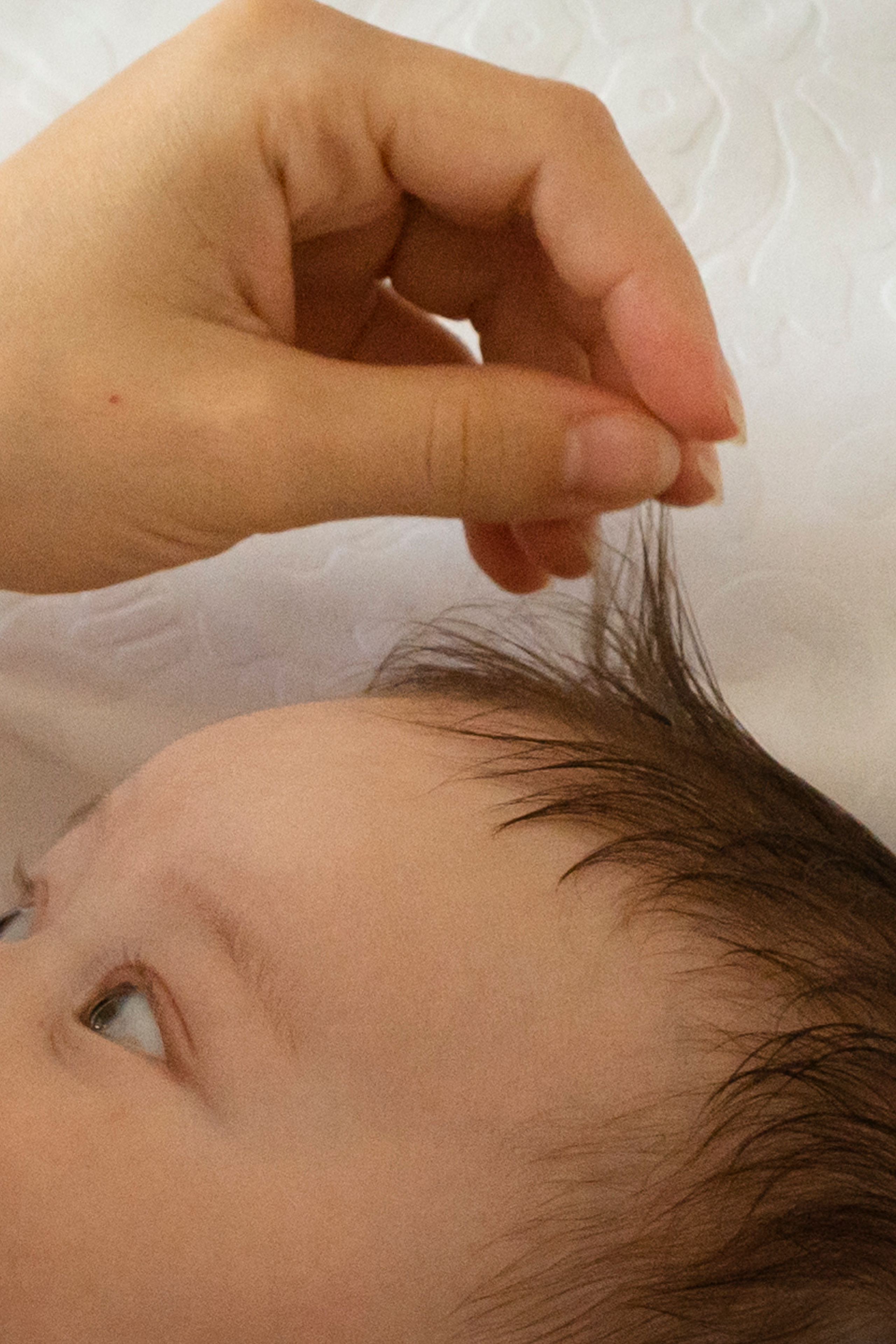 Александра. Фотограф Видеограф новорожденные и дети Н.Новгород Елена Длужинская