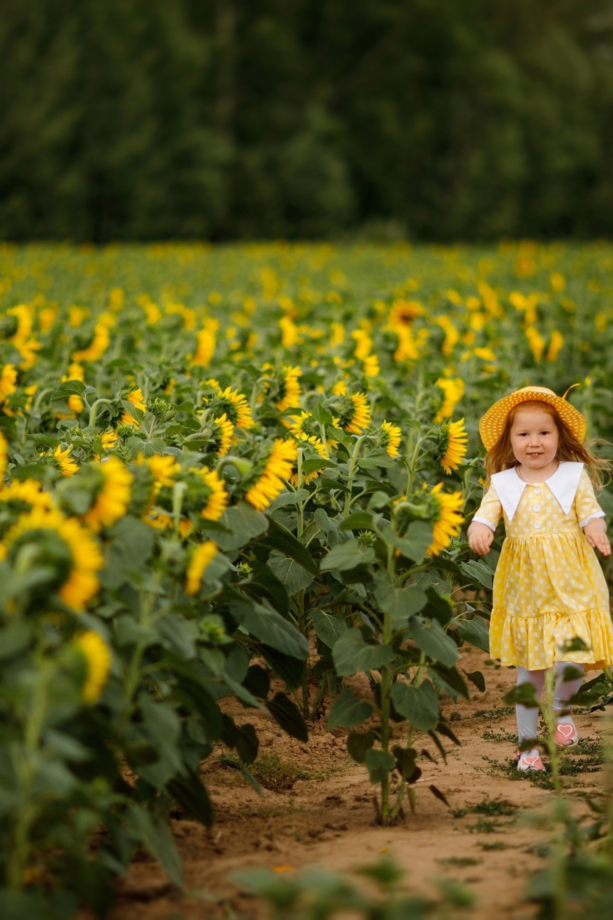 Детская летняя фотосессия в подсолнухах