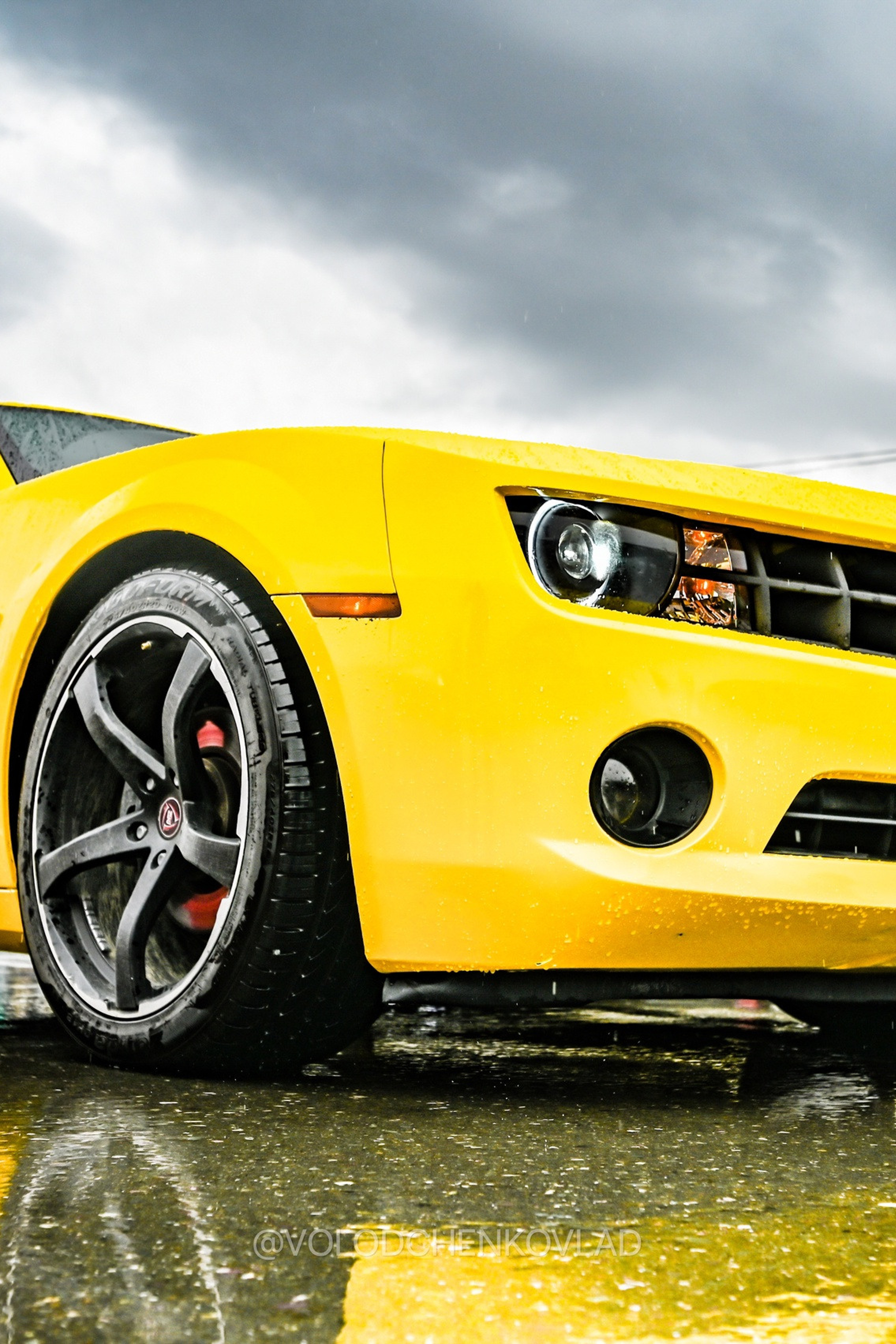 Выставка машин