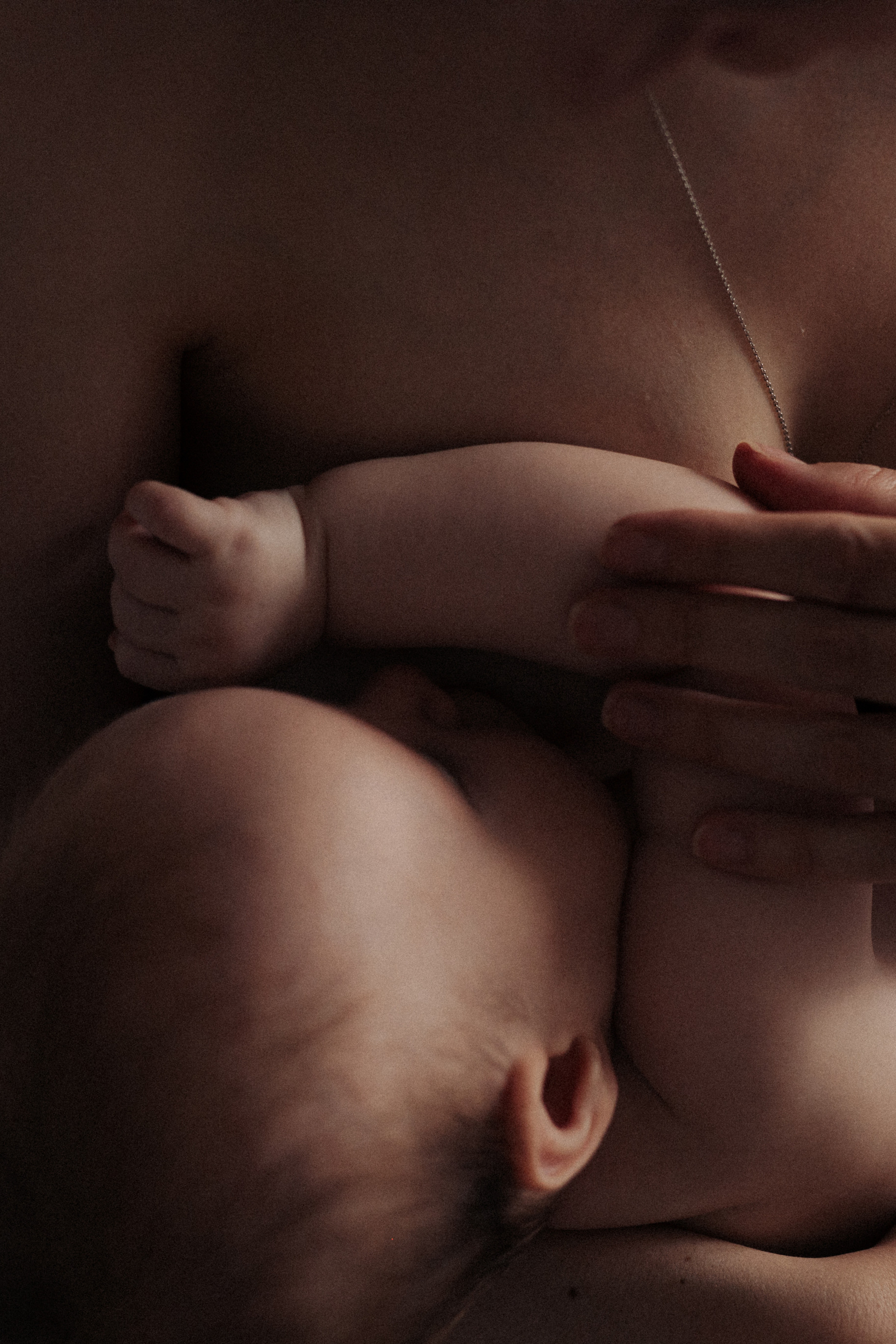 Alexandra&family. Фотограф Москва