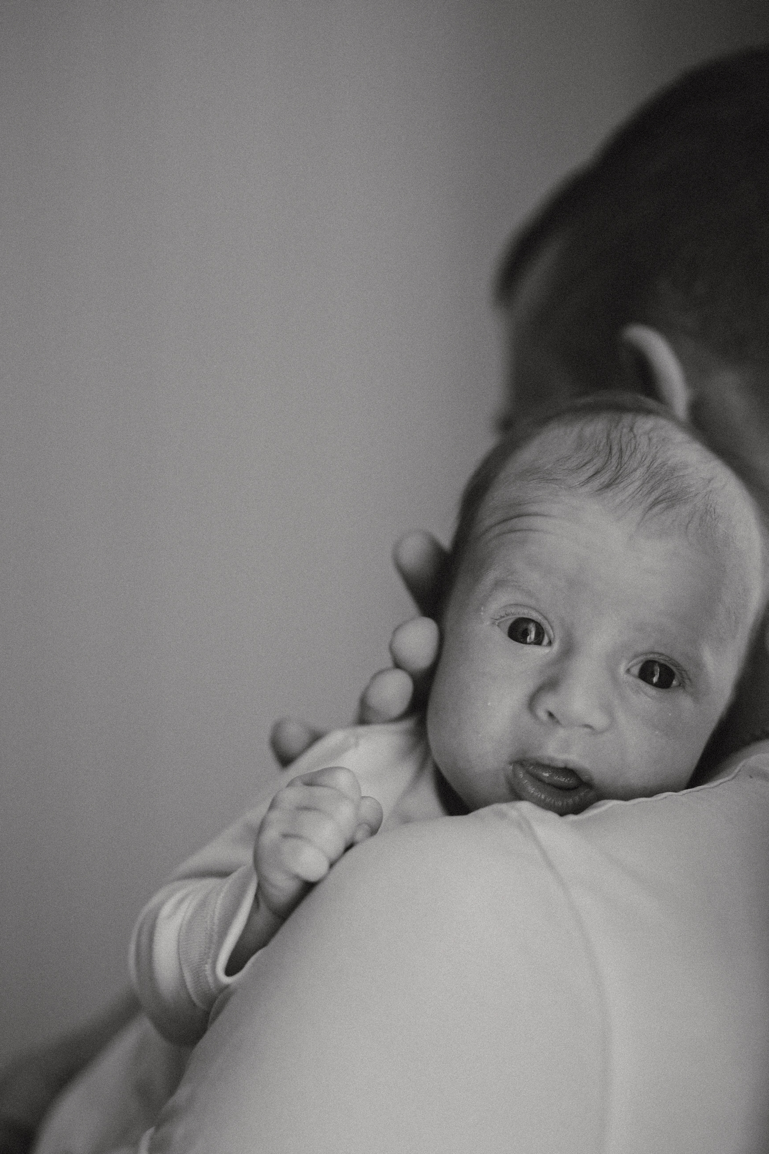 Alena, Pavel, Evgeniy. Фотограф Москва
