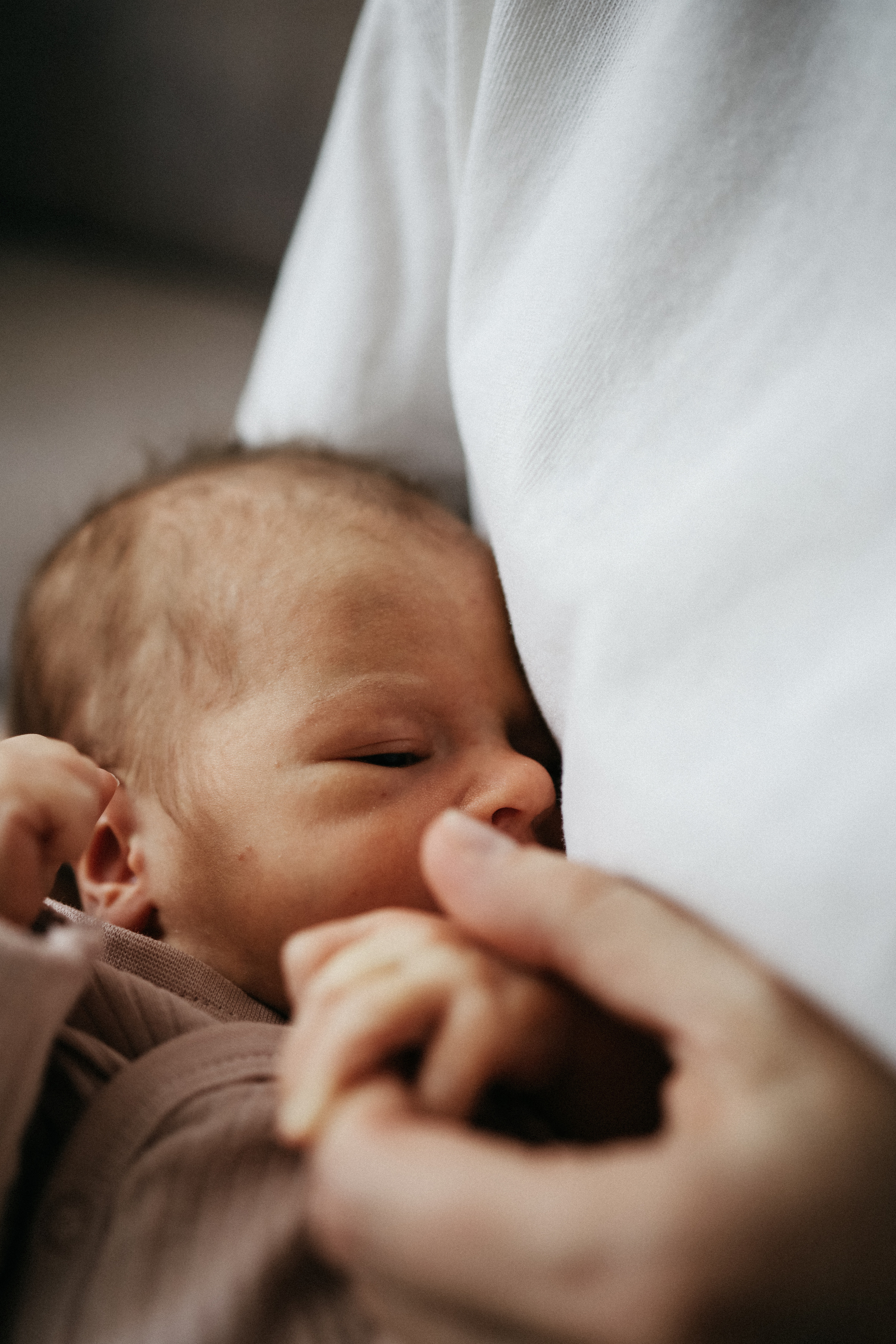 Maria, Kirill, Alexandra. Фотограф Москва