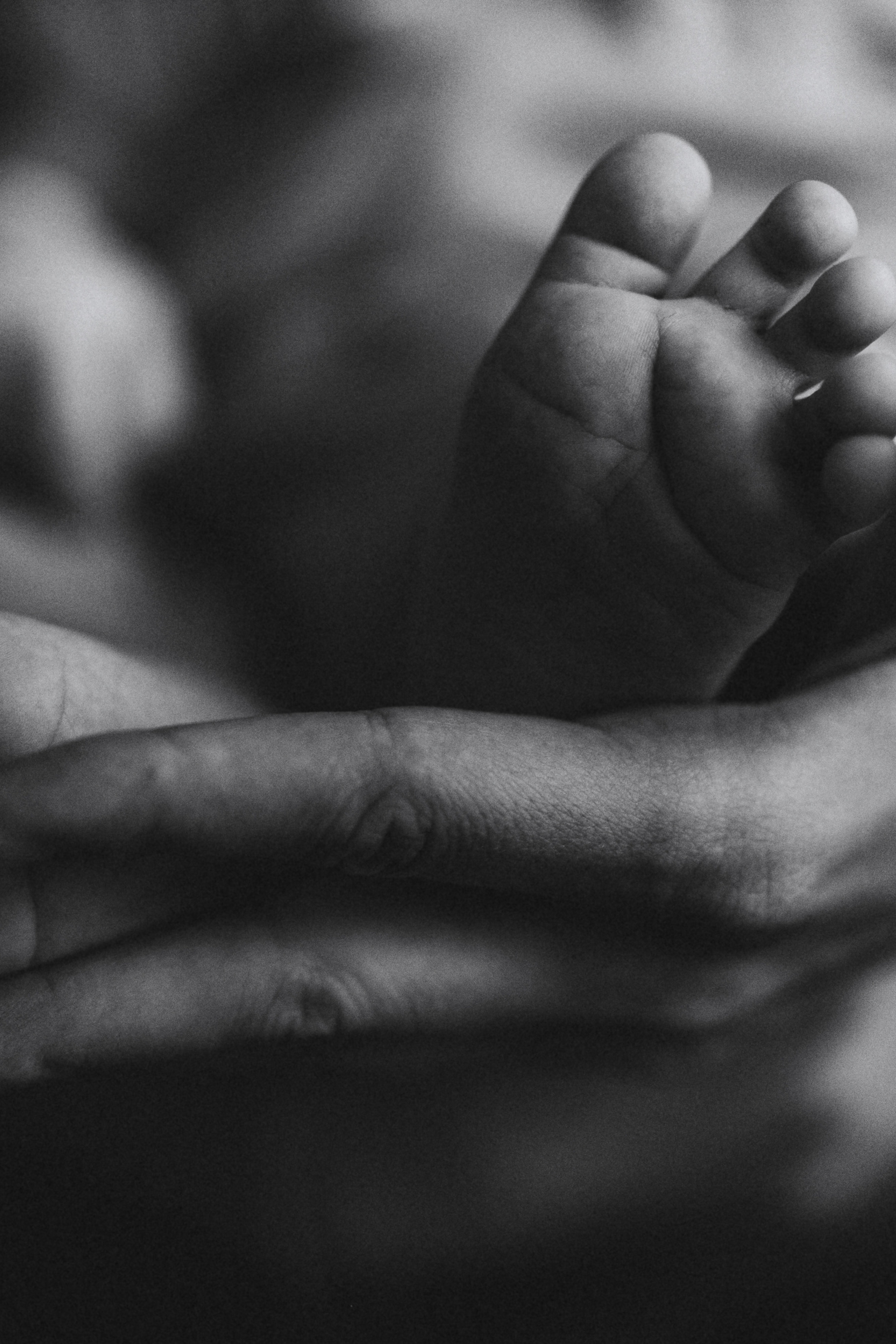 МАЛЫШИ. Фотограф Москва