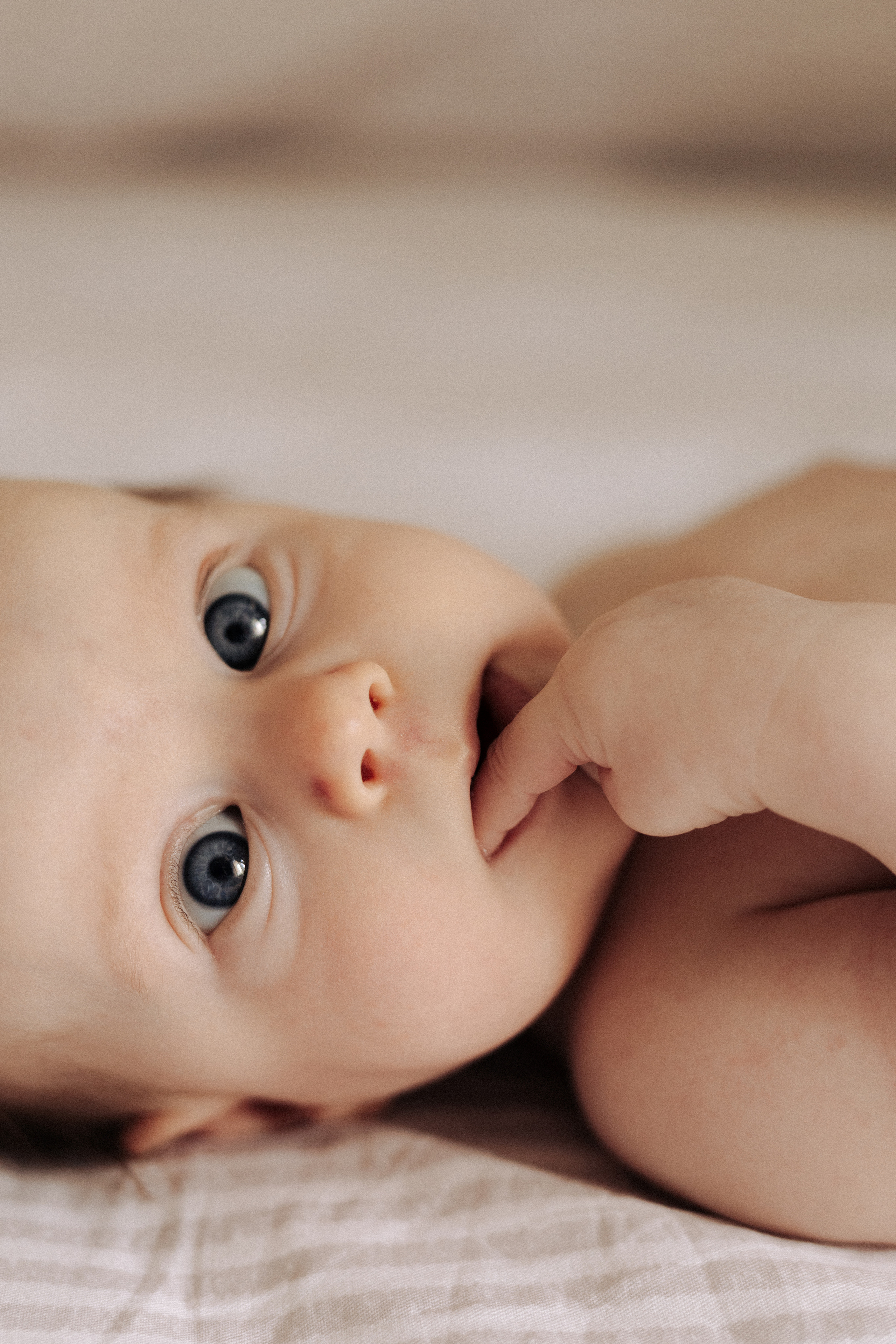 Alexandra&family. Фотограф Москва