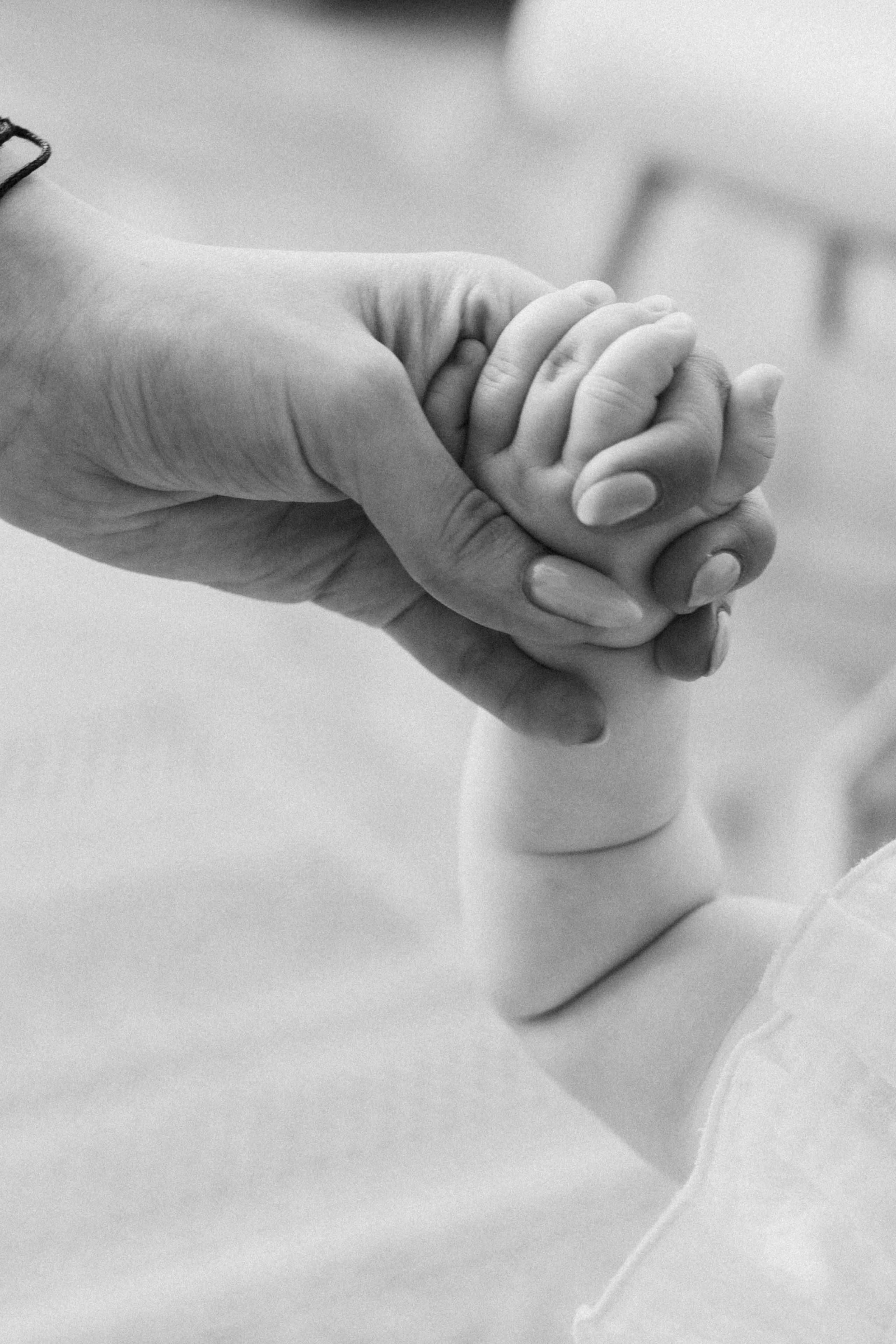 Alena&family. Фотограф Москва