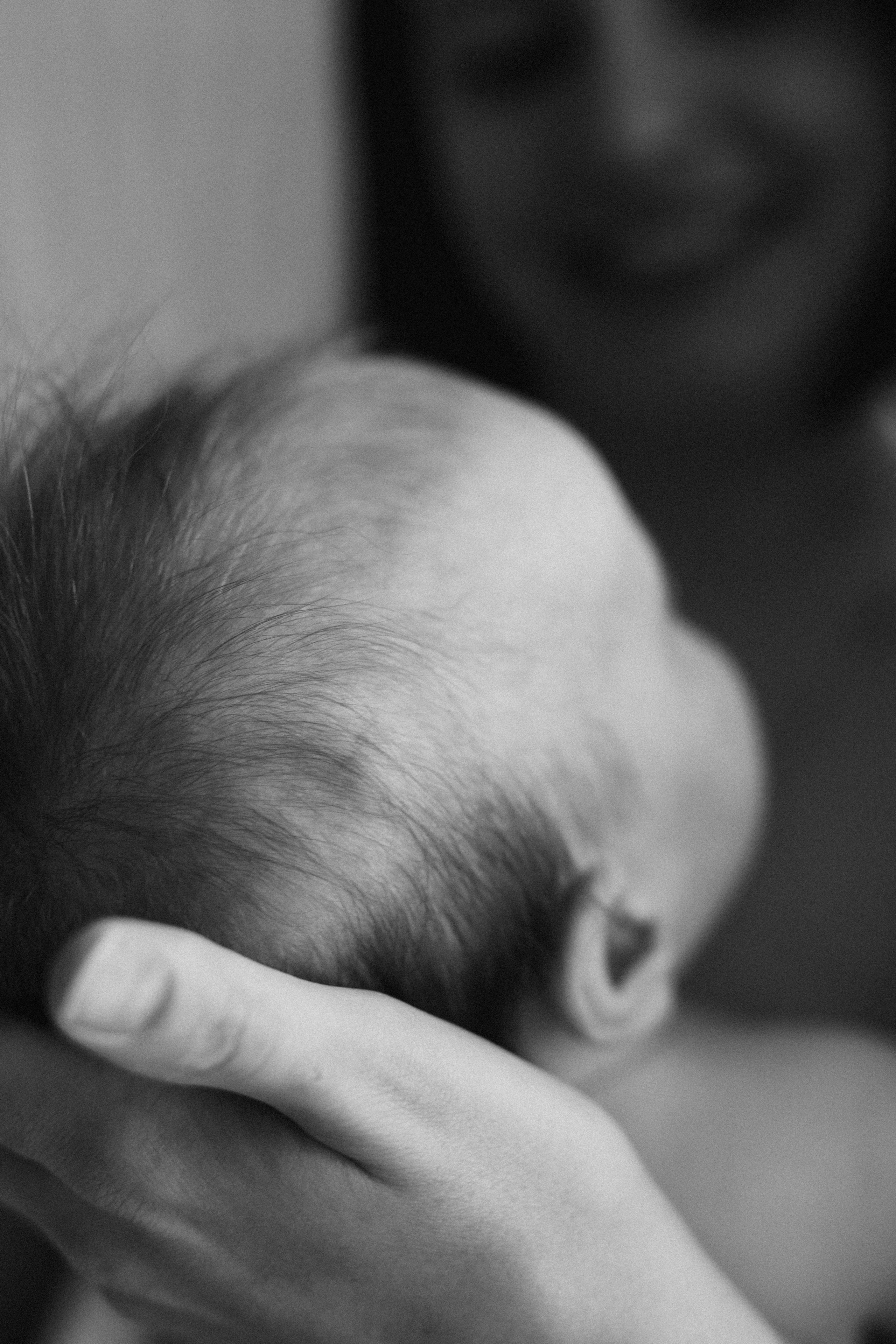 Alexandra&family. Фотограф Москва
