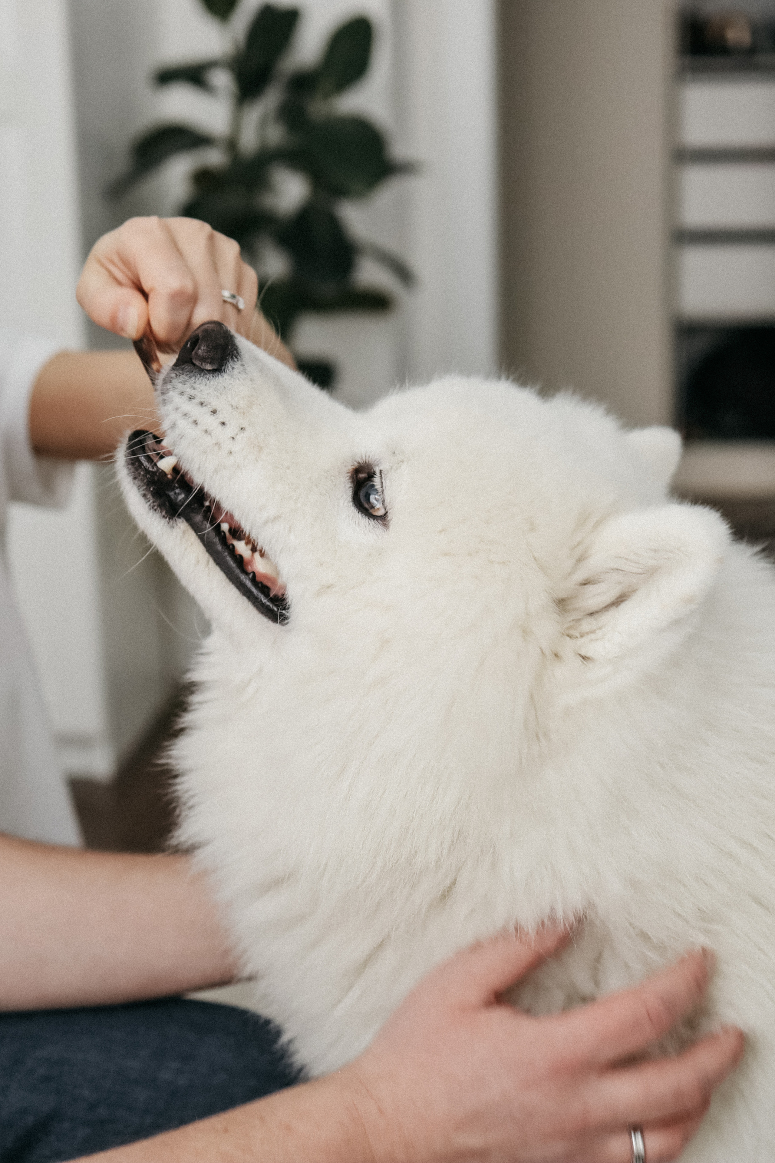Maria, Kirill, Alexandra. Фотограф Москва