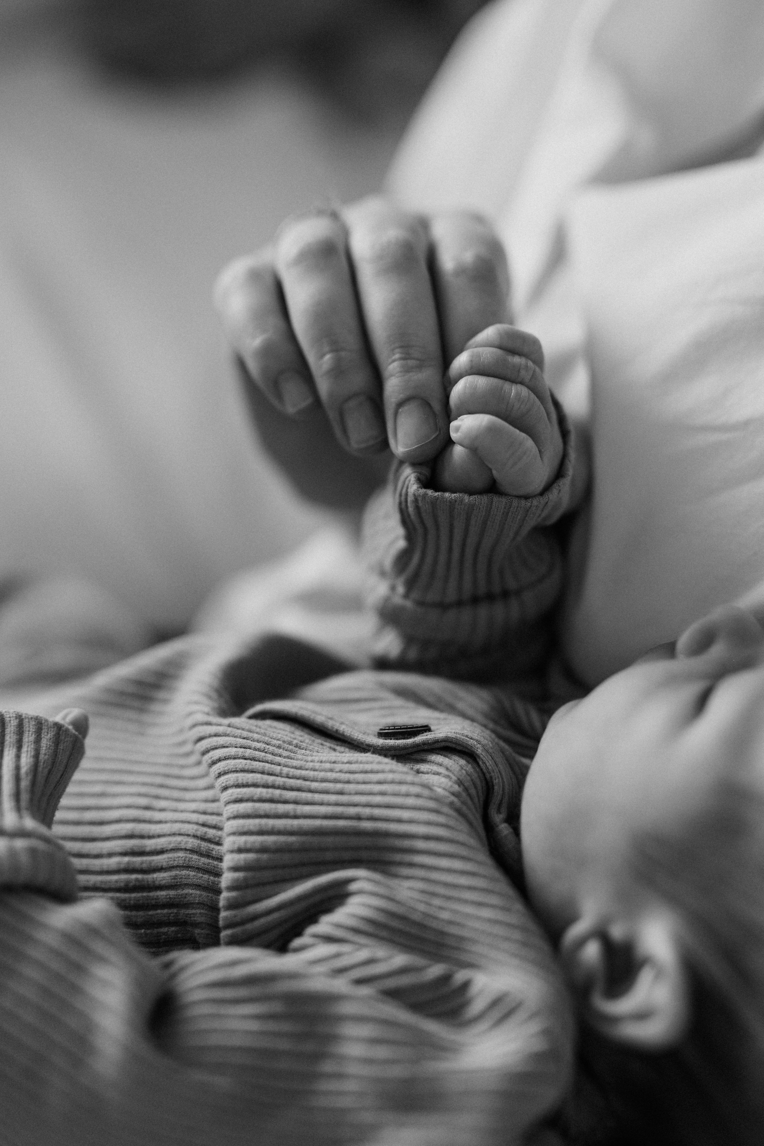 Maria&family. Фотограф Москва