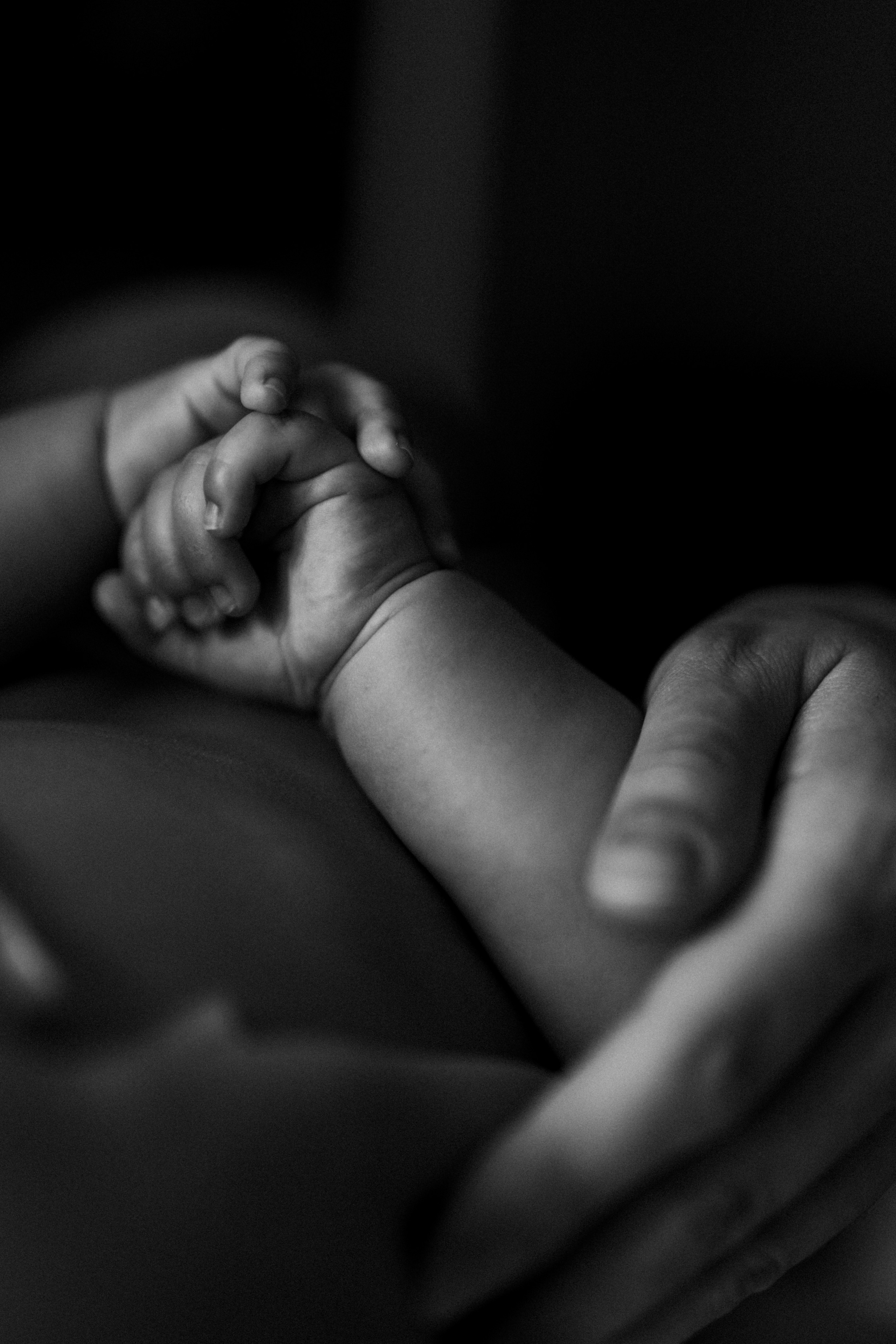Andrew&parents. Фотограф Москва