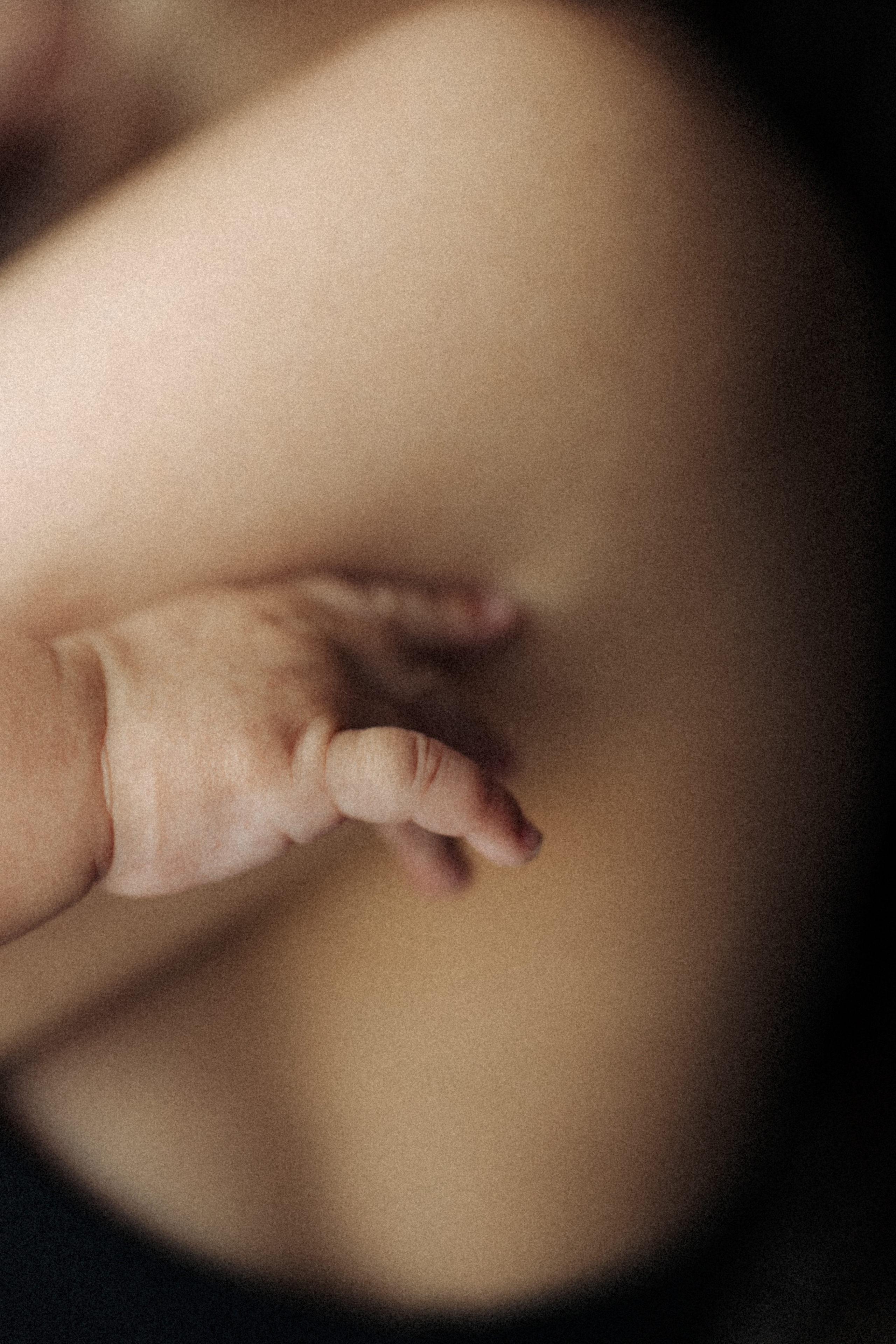 Andrew&parents. Фотограф Москва