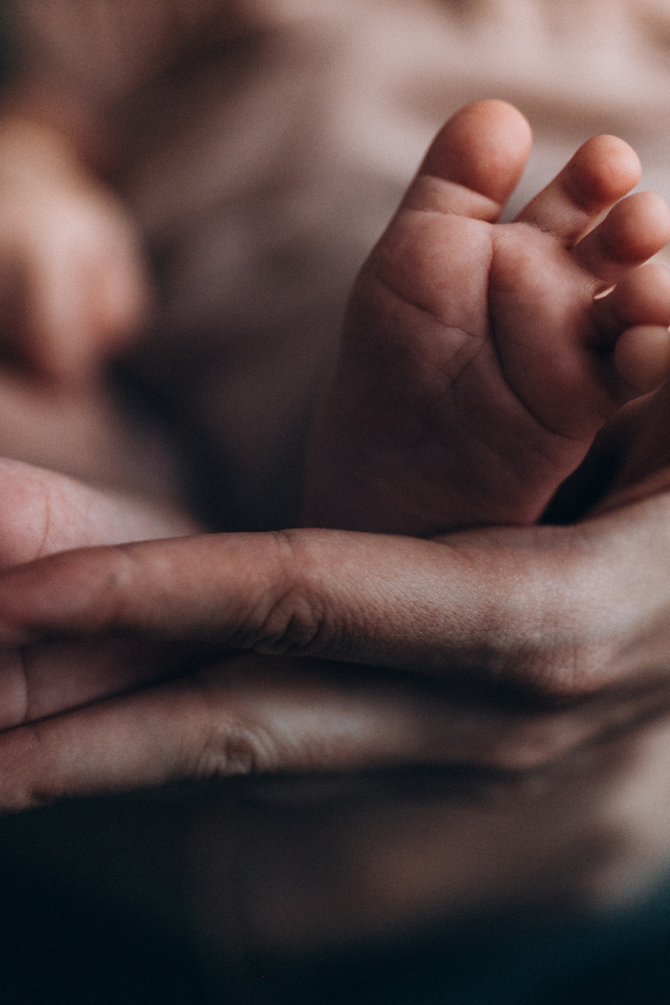 Little Elisey. Фотограф Москва