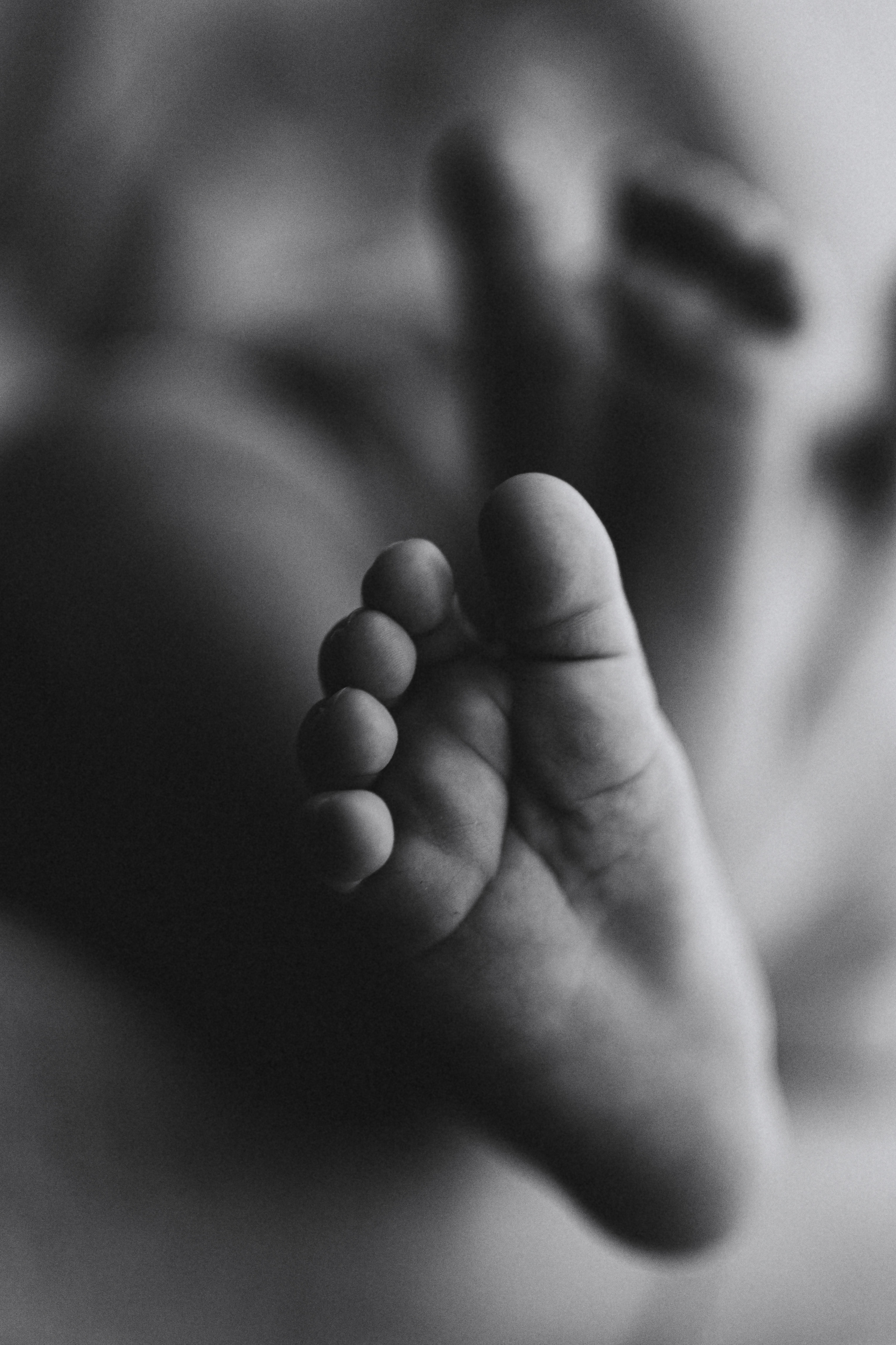 МАЛЫШИ. Фотограф Москва