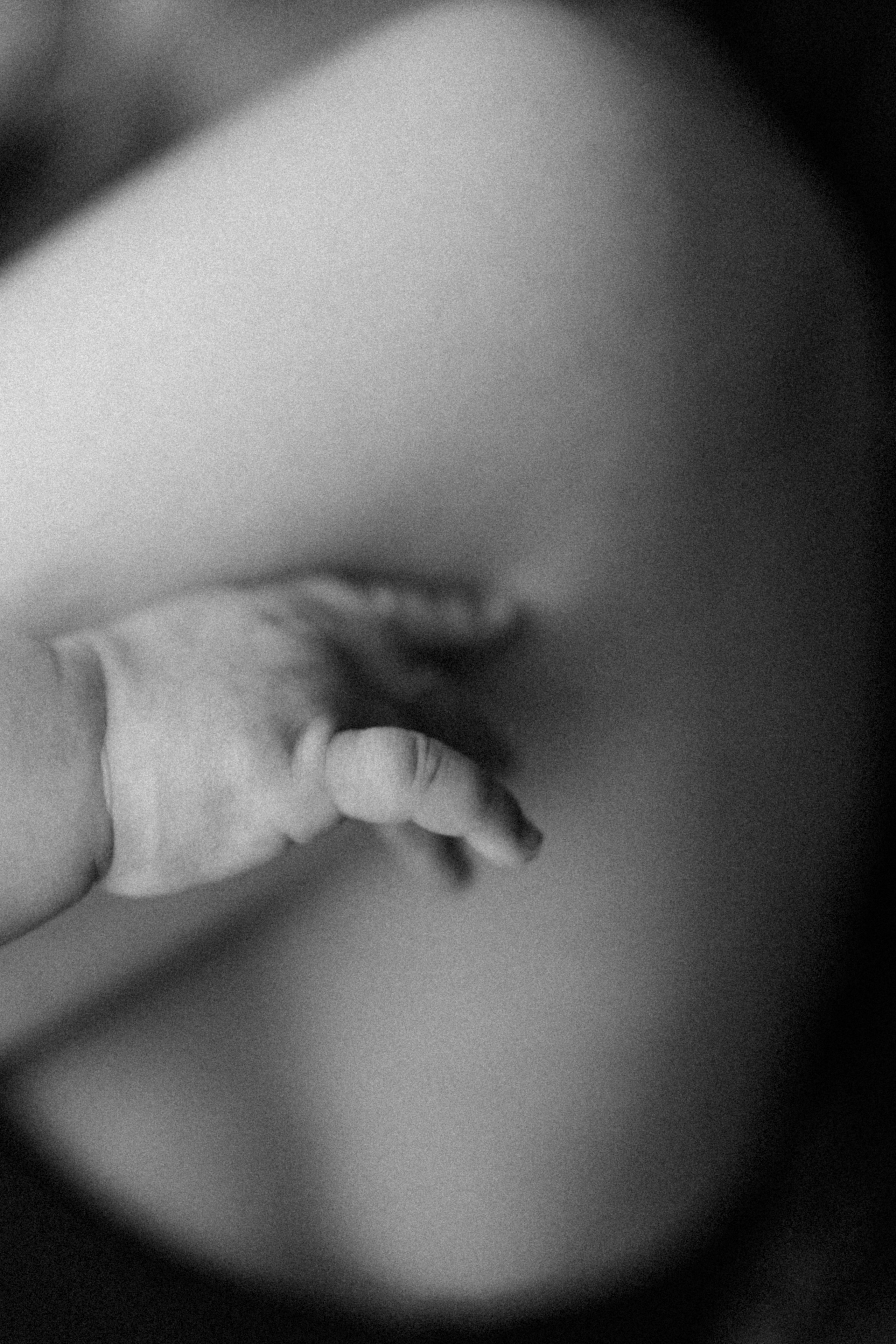 МАЛЫШИ. Фотограф Москва