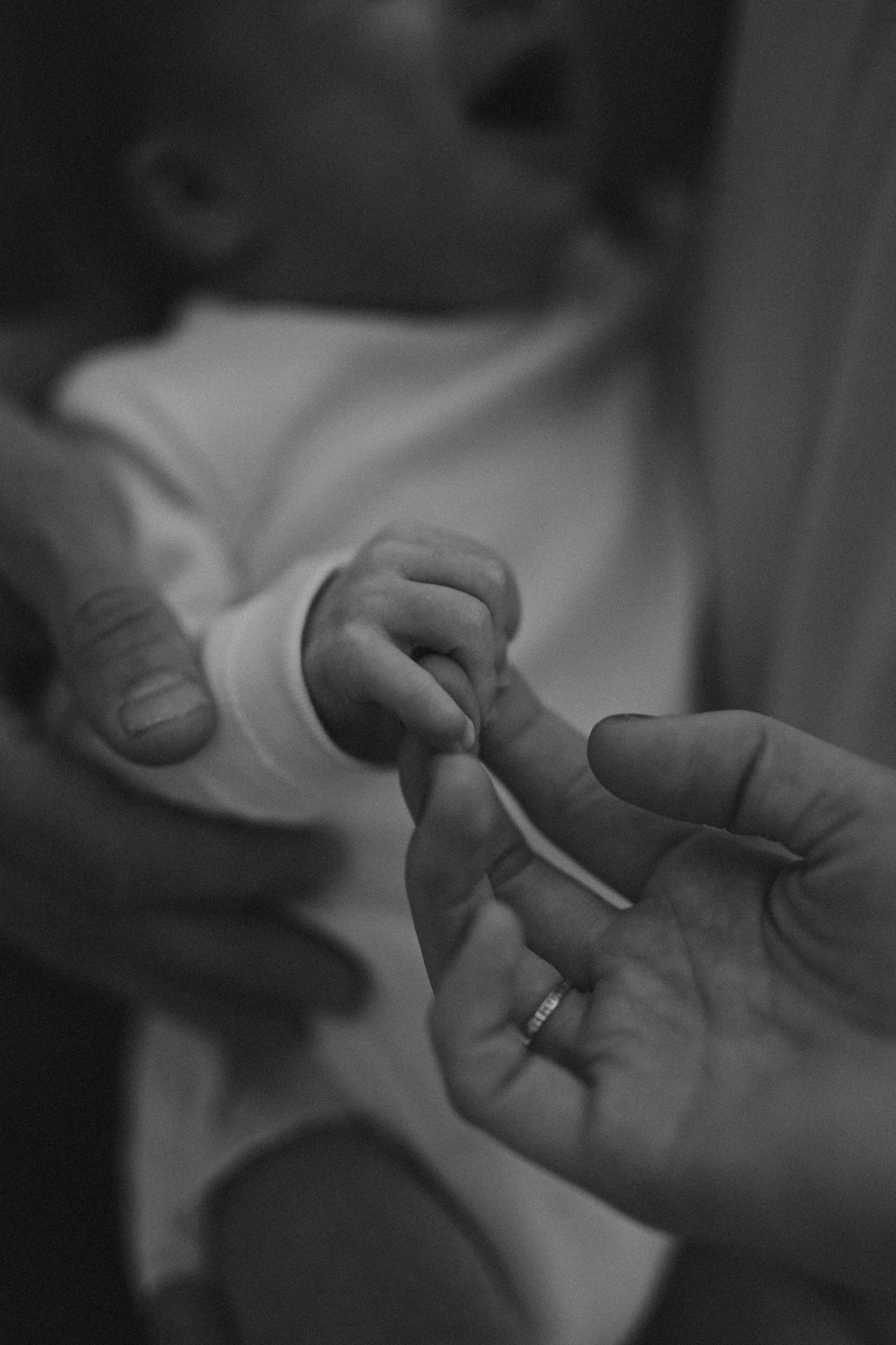 Alena, Pavel, Evgeniy. Фотограф Москва