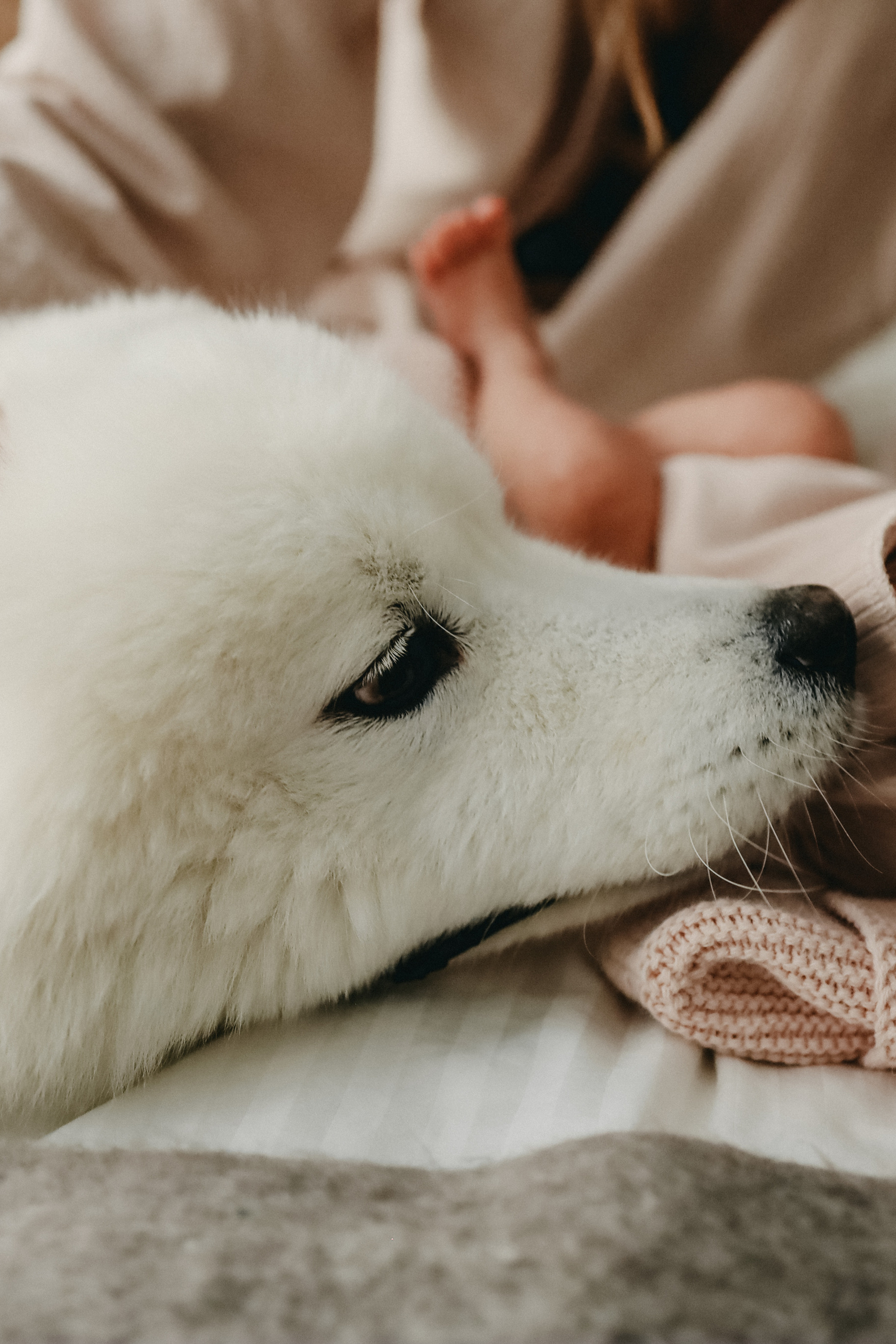 Maria, Kirill, Alexandra. Фотограф Москва