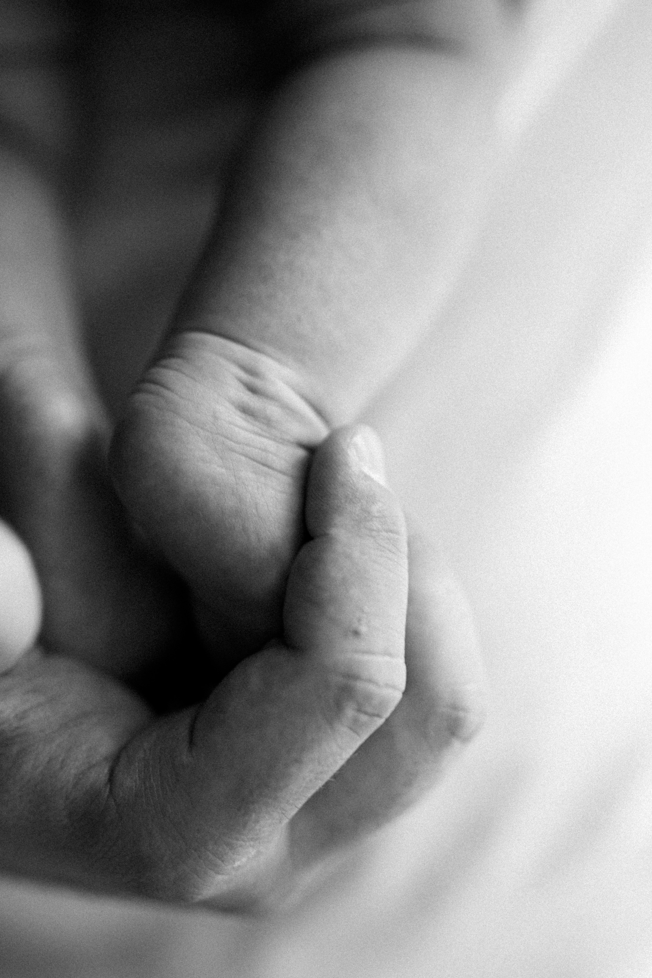 Uliana&parents. Фотограф Москва