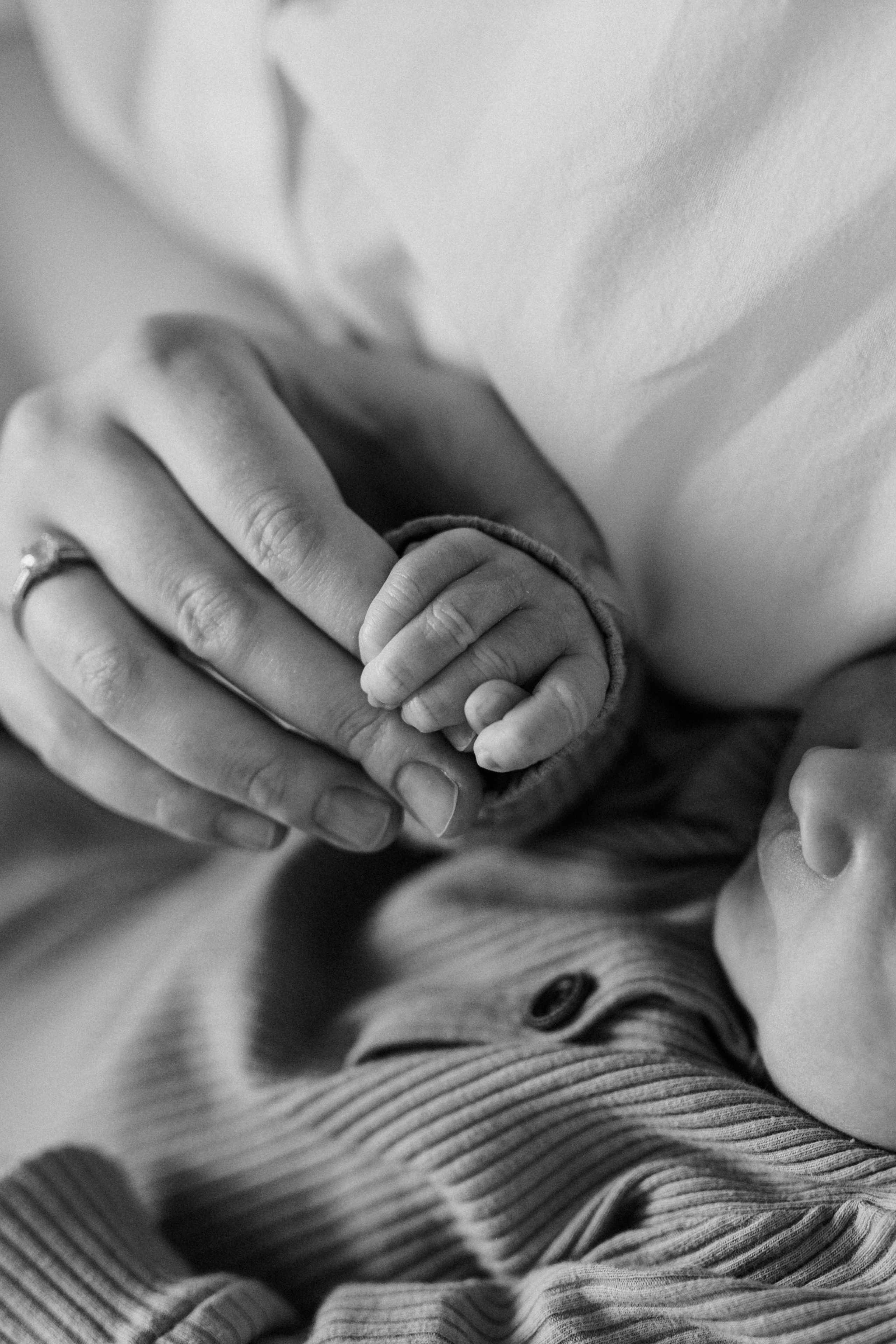 Maria&family. Фотограф Москва