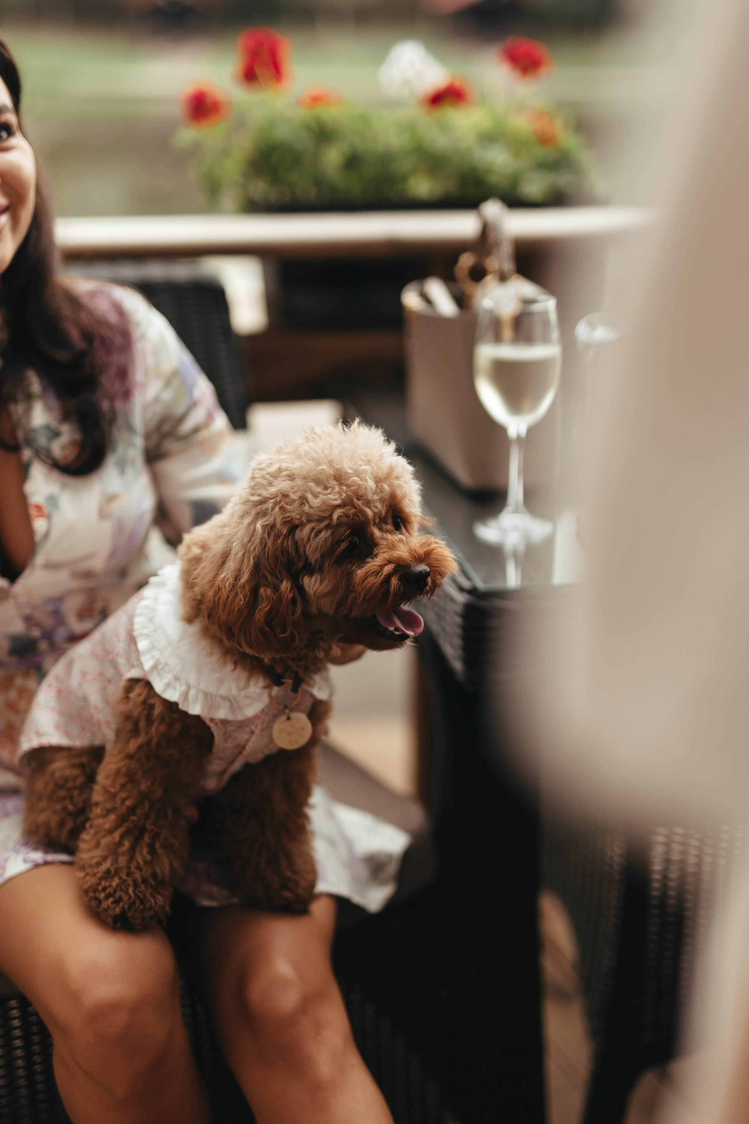 День рождения Оливии. Фотограф Москва