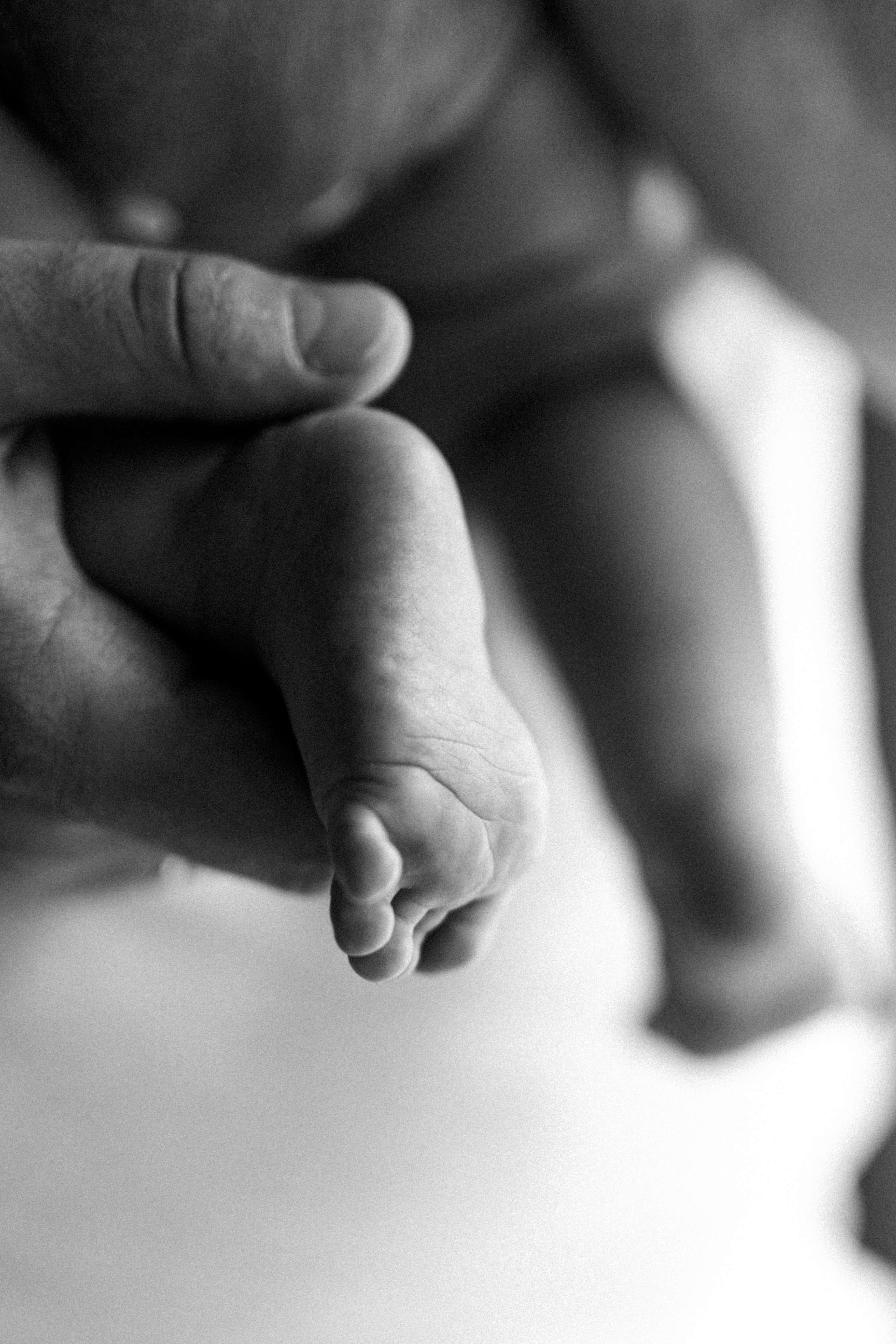 Uliana&parents. Фотограф Москва