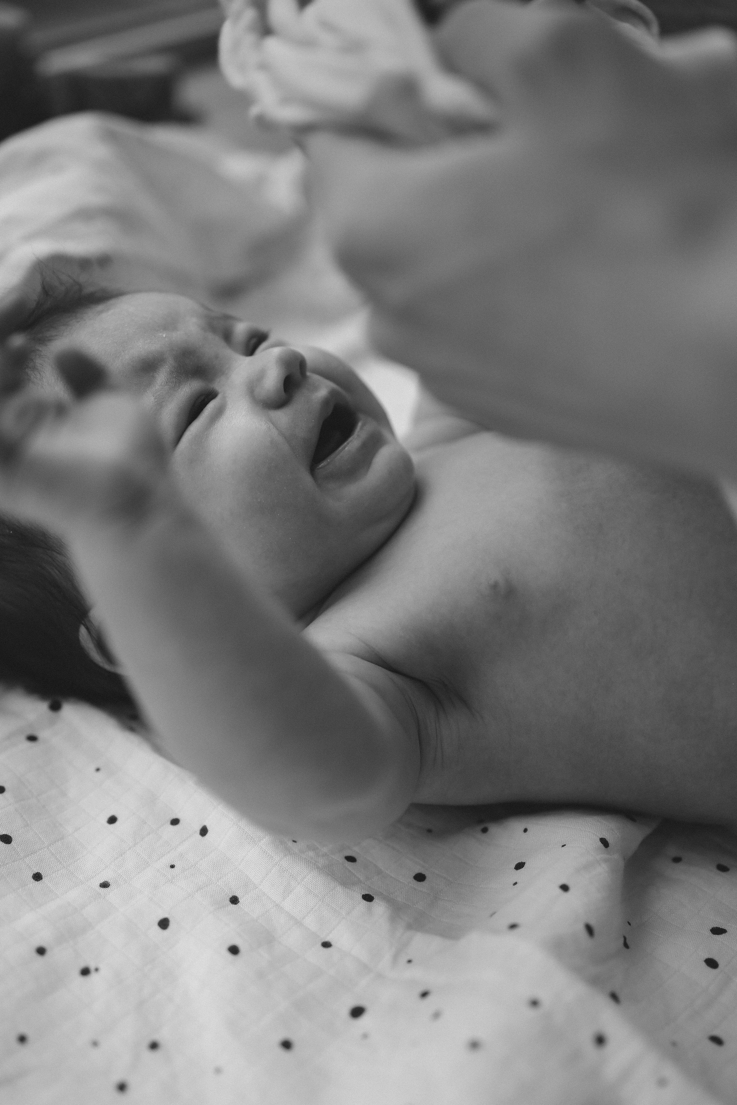 Mary, Artem, Alicia. Фотограф Москва