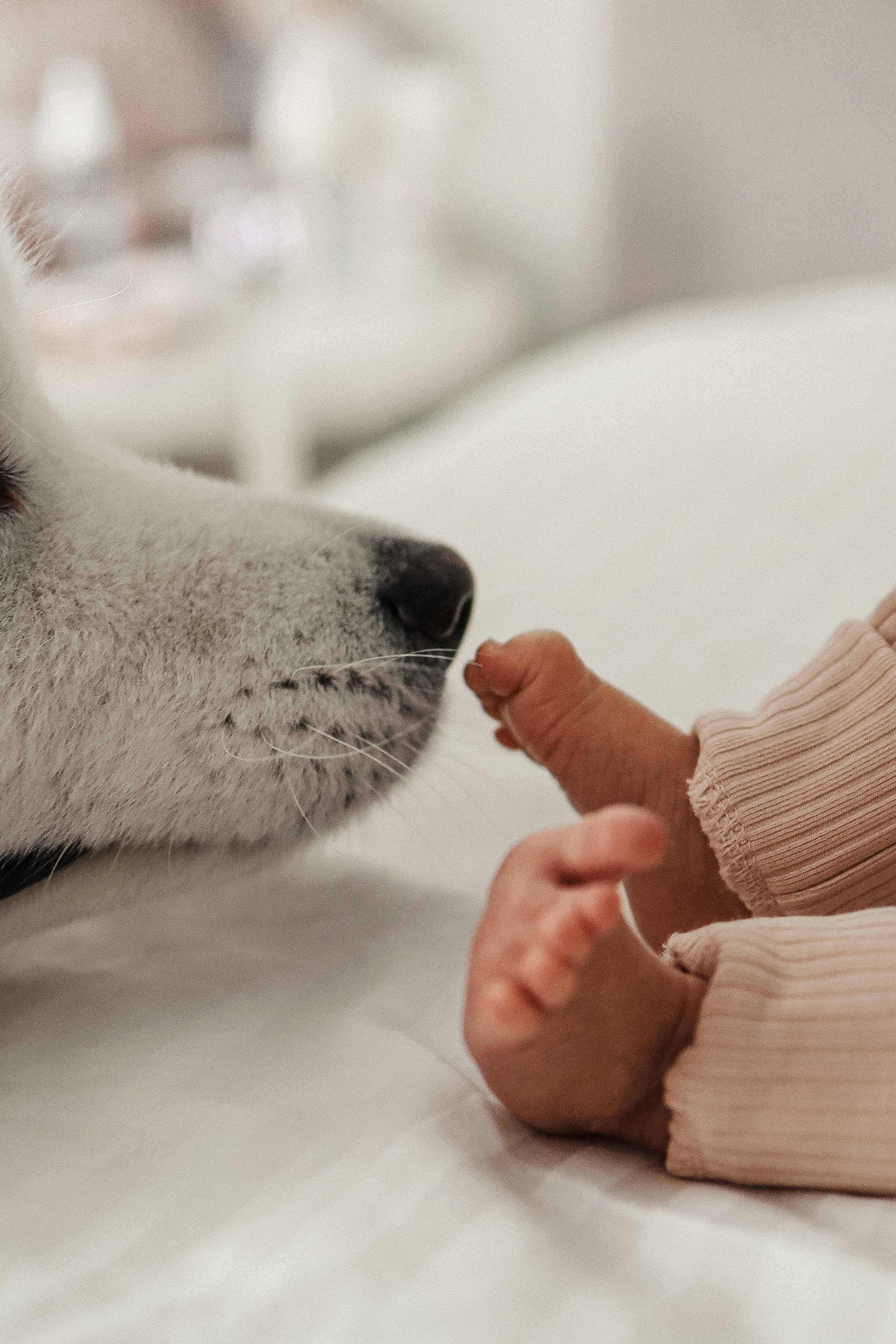 Maria, Kirill, Alexandra. Фотограф Москва